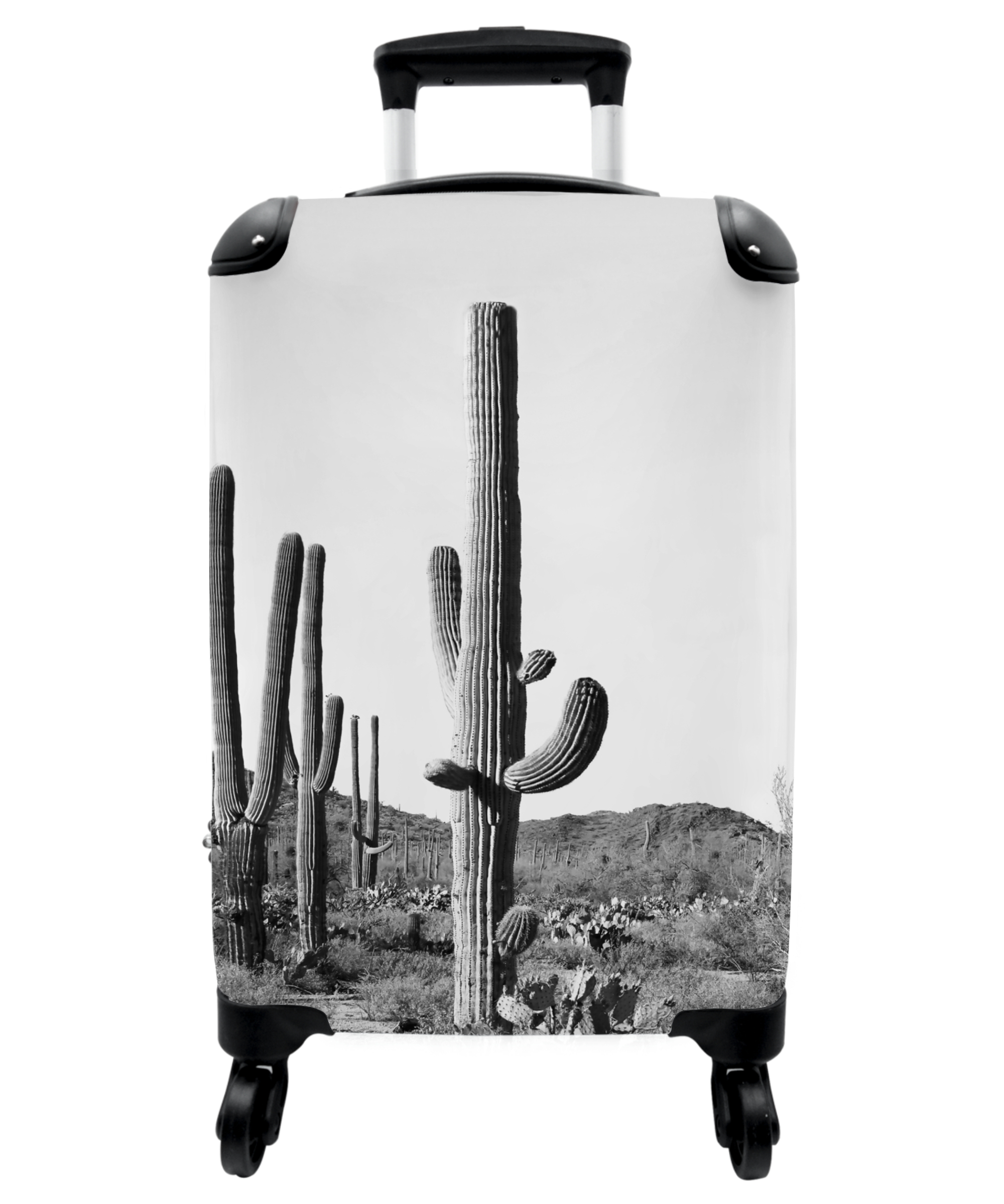 Koffer - Cactussen - Zwart wit - Natuur - Landschap-1