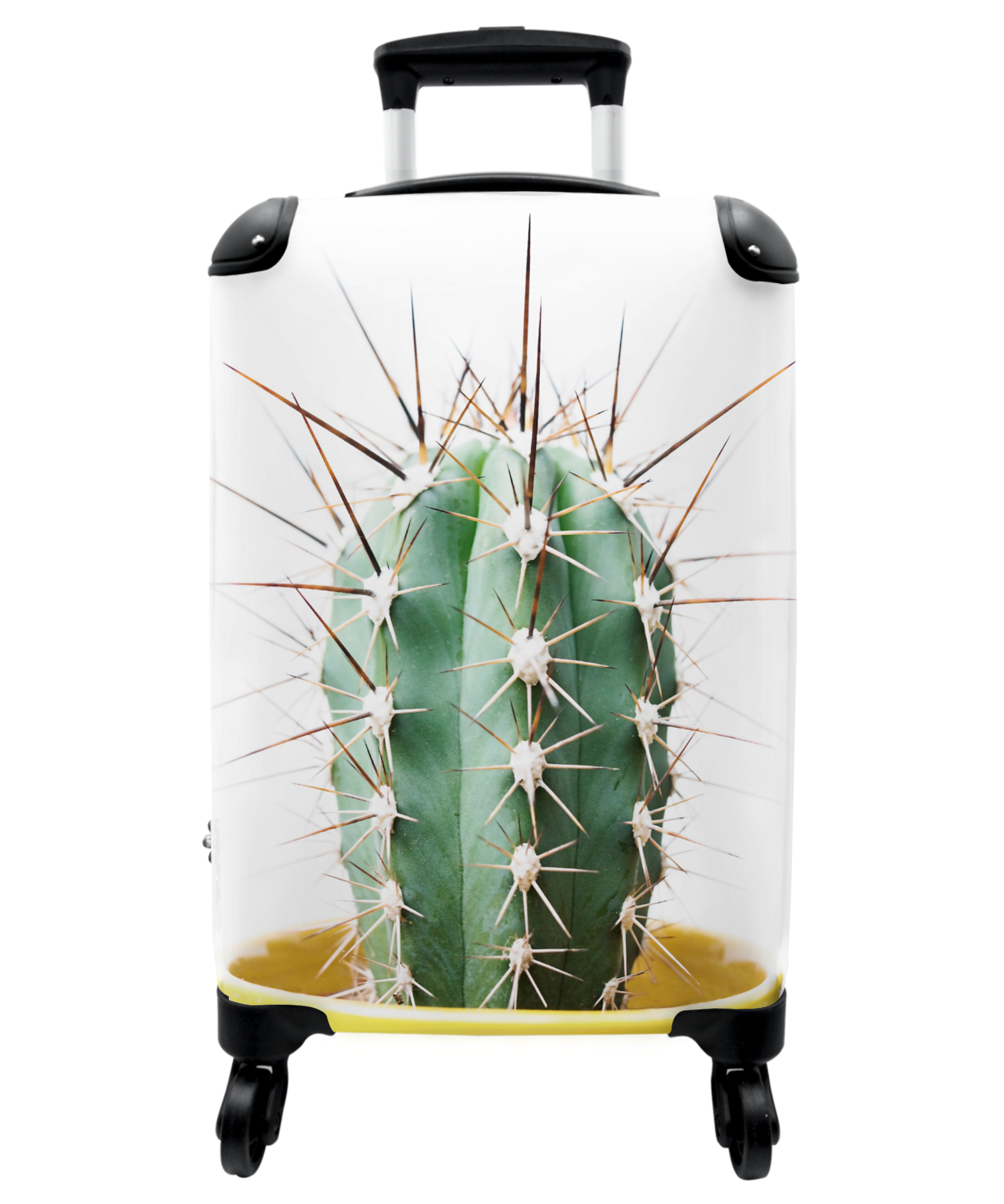 Koffer - Cactus - Planten - Natuur - Groen-thumbnail-1