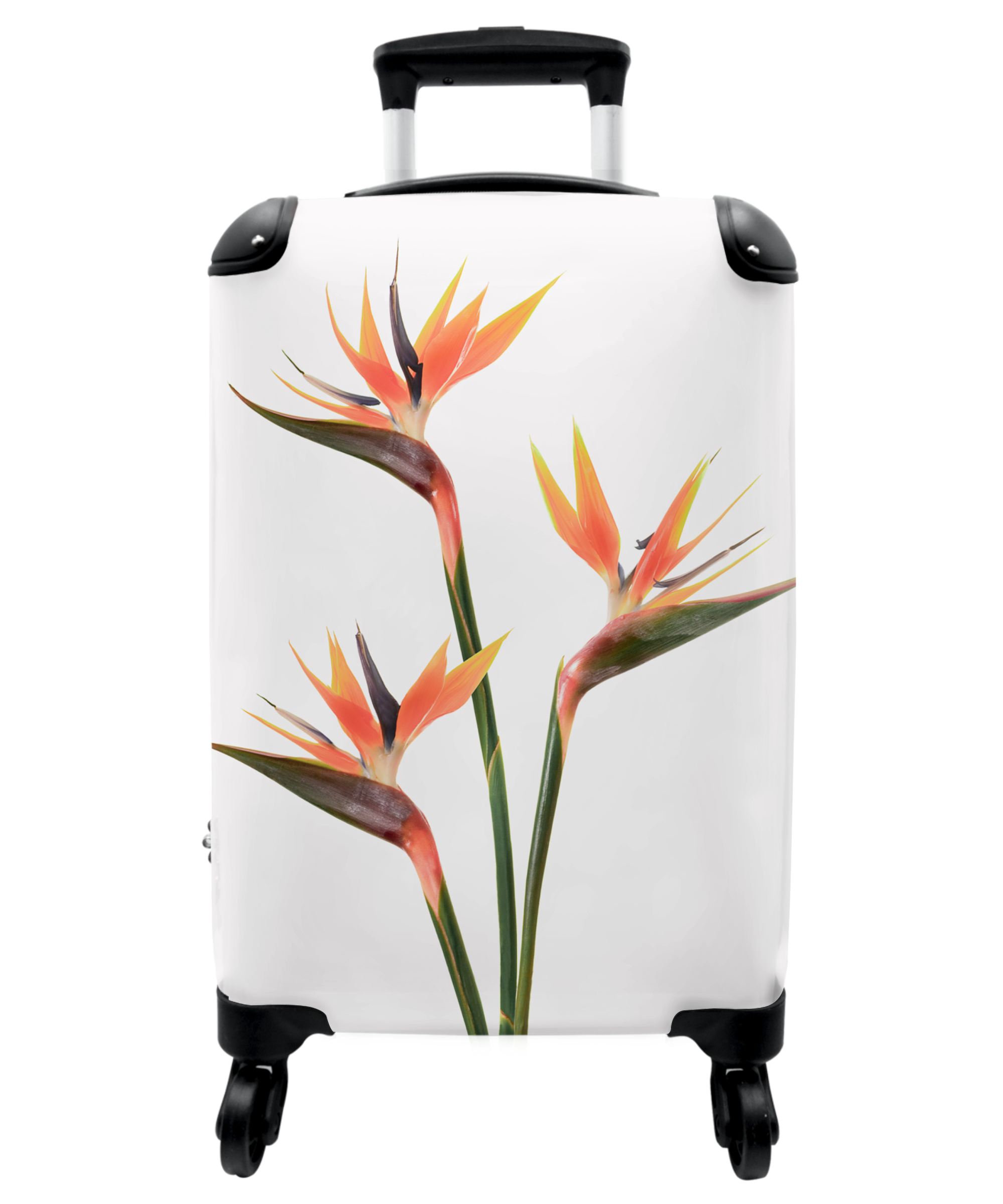 Koffer - Bloemen - Oranje - Natuur - Planten