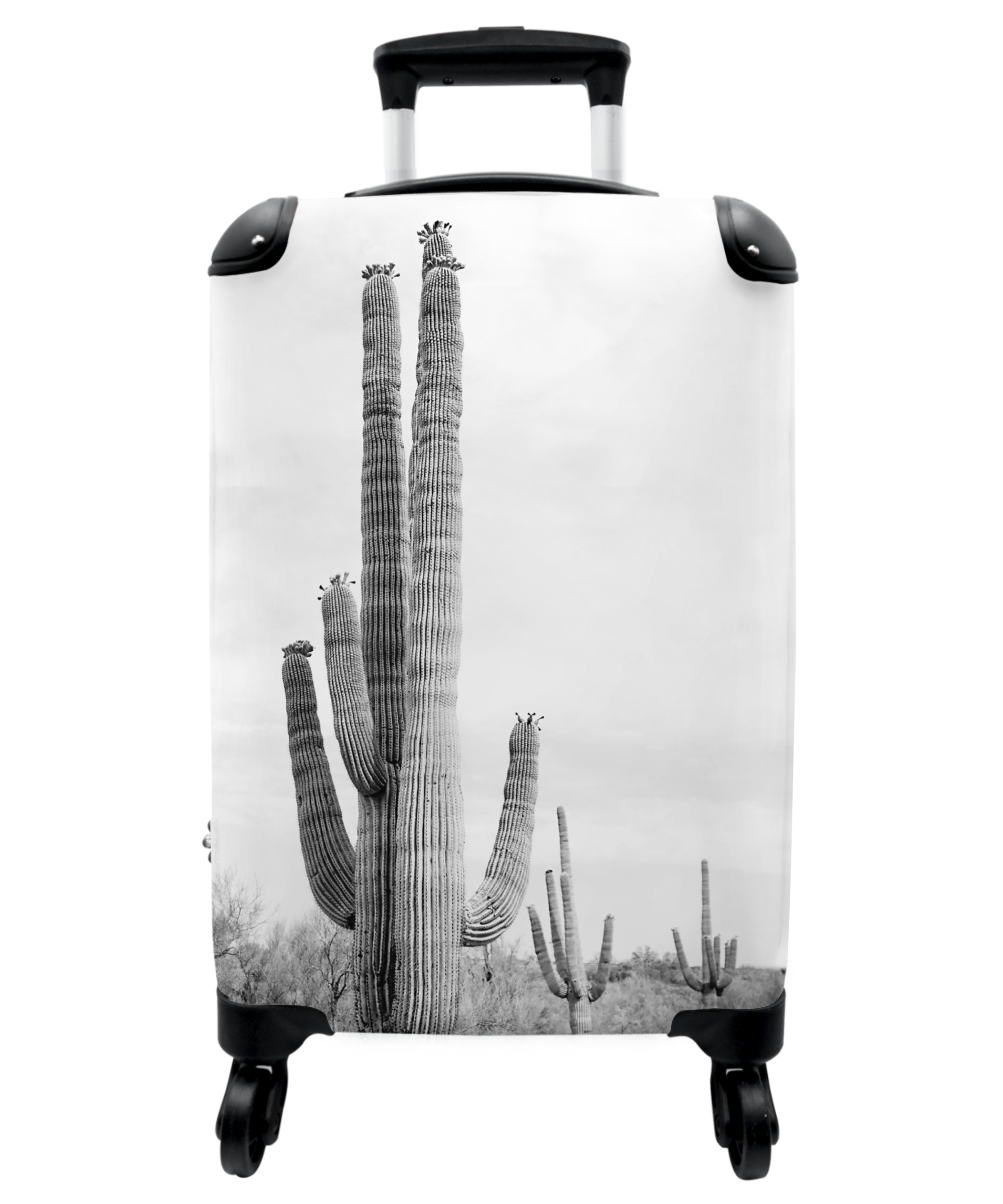 Koffer - Cactus - Zwart wit - Natuur - Planten-thumbnail-1