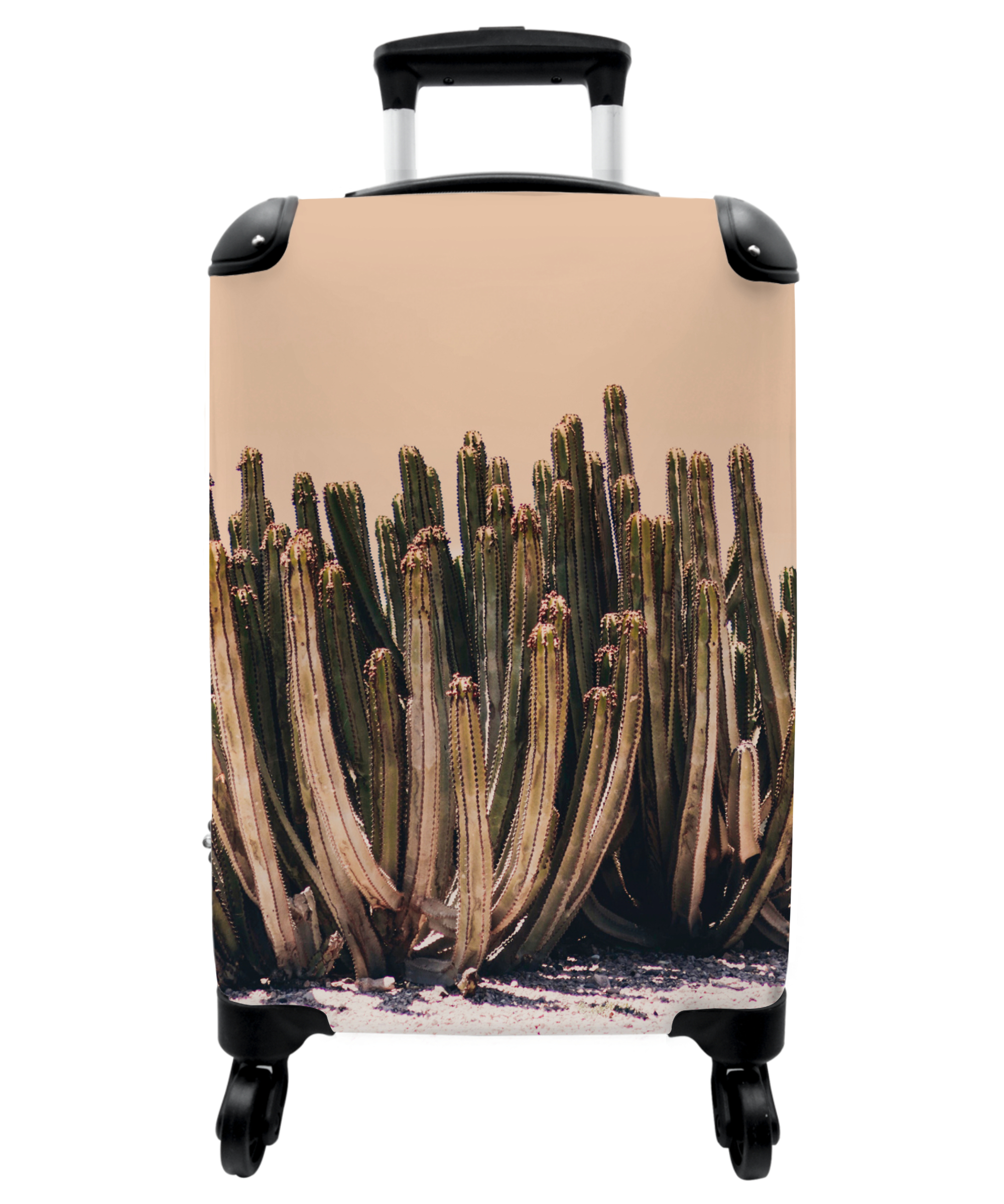 Koffer - Cactus - Plant - Natuur - Groen