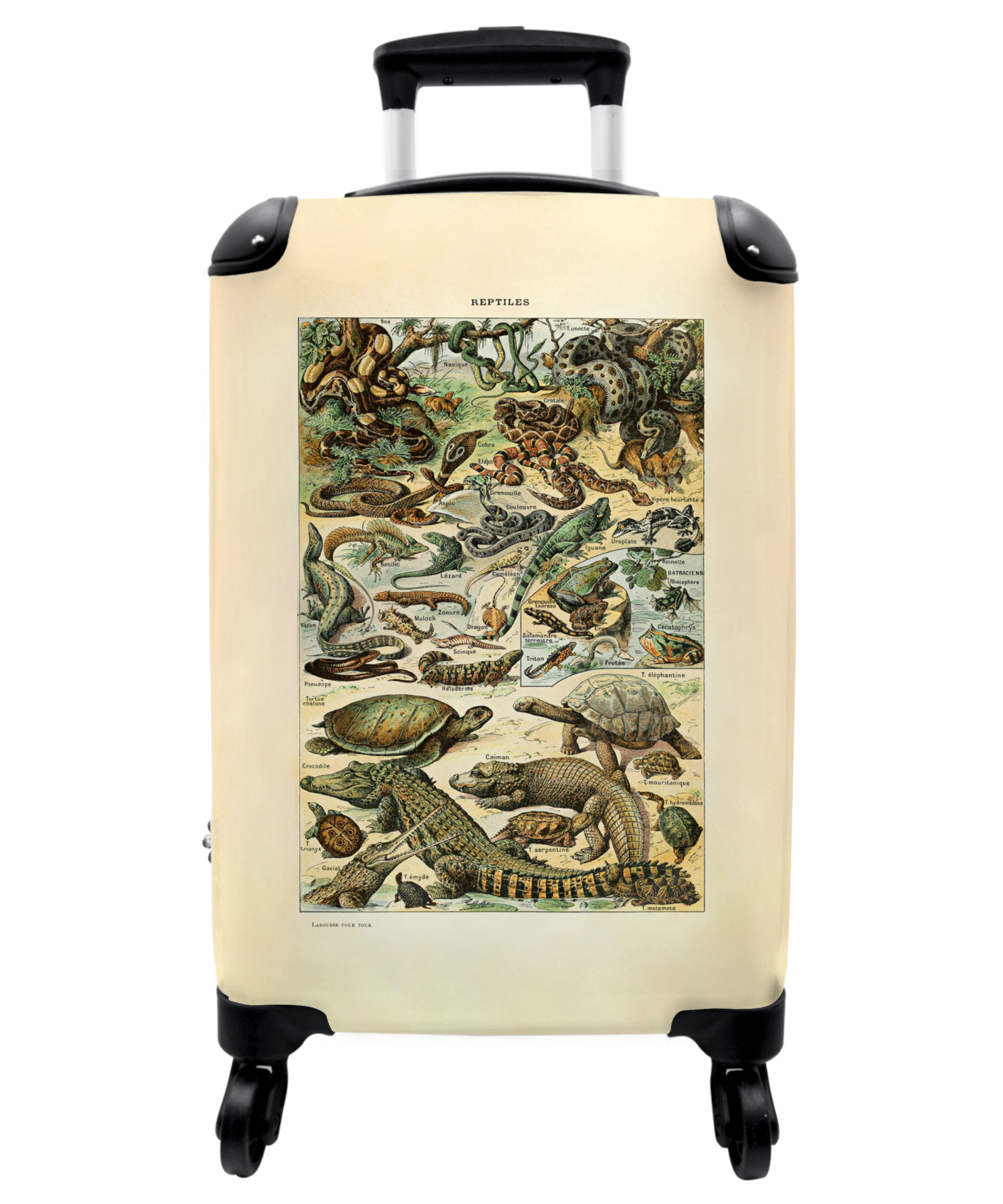 Koffer - Reptielen - Vintage - Illustratie - Dieren - Natuur