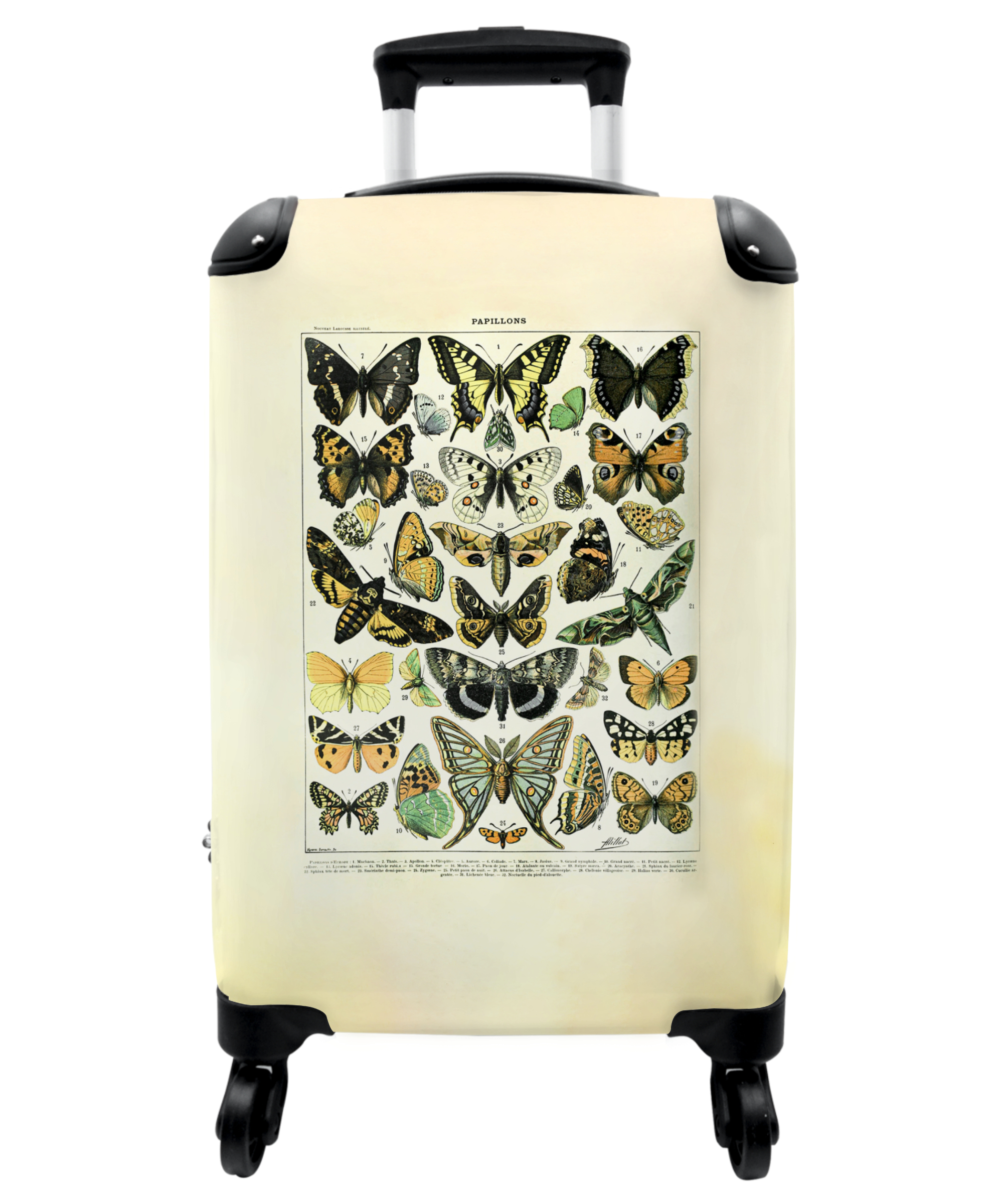 Koffer - Vlinder - Natuur - Vintage - Illustratie - Dieren
