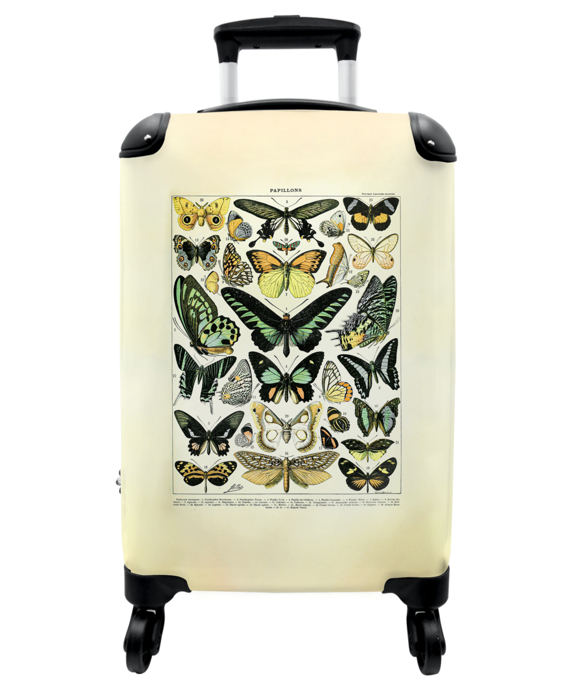 Koffer - Dieren - Vlinders - Natuur - Kleuren - Millot