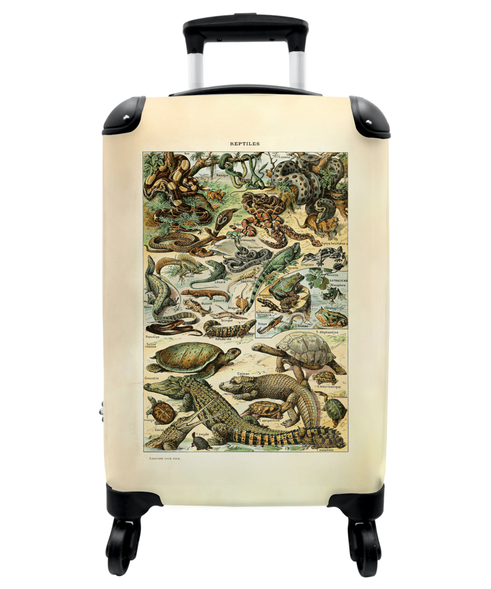 Koffer - Vintage - Reptielen - Dieren - Illustratie - Kunst-1