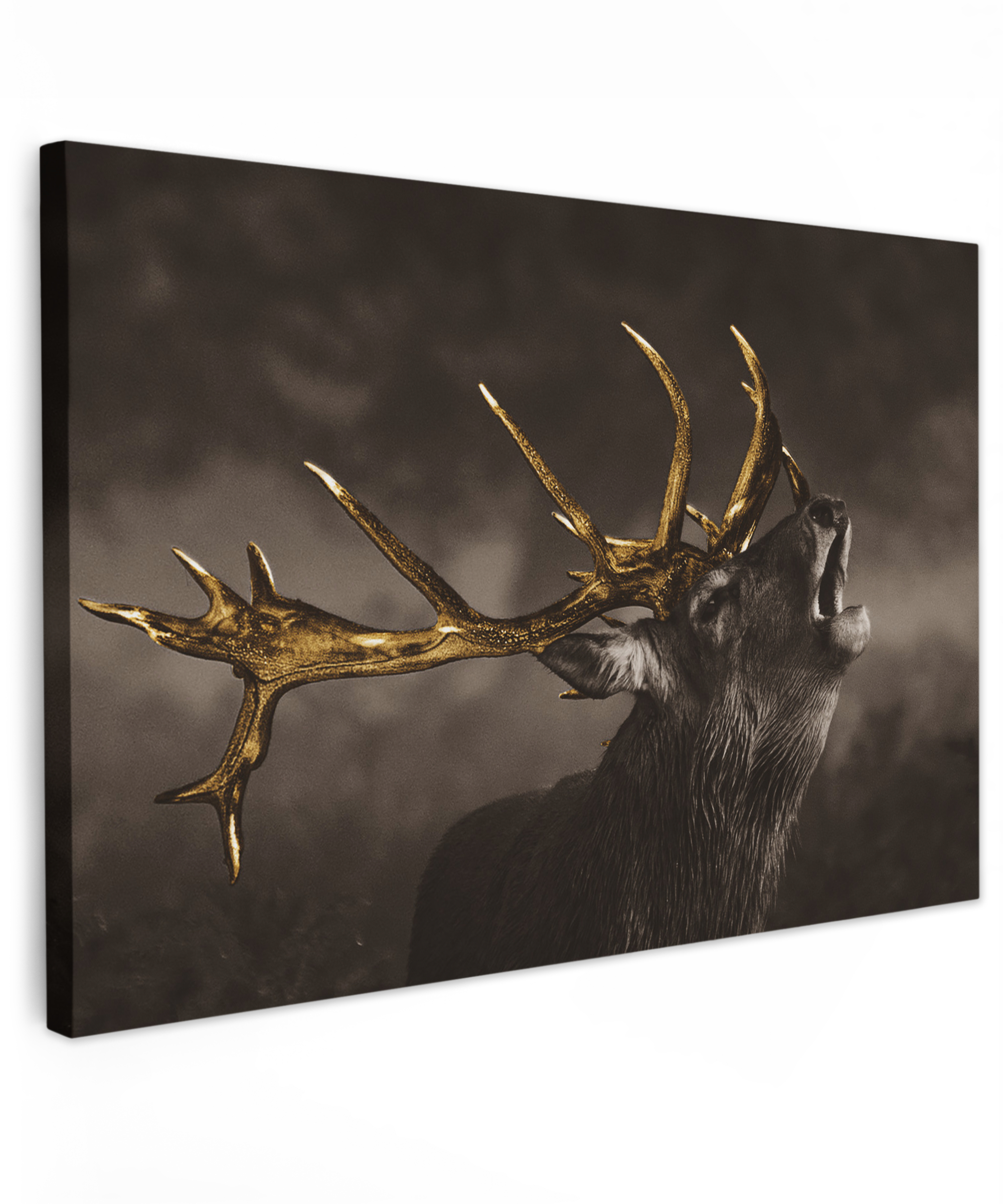 Canvas schilderij Hert Black Gold