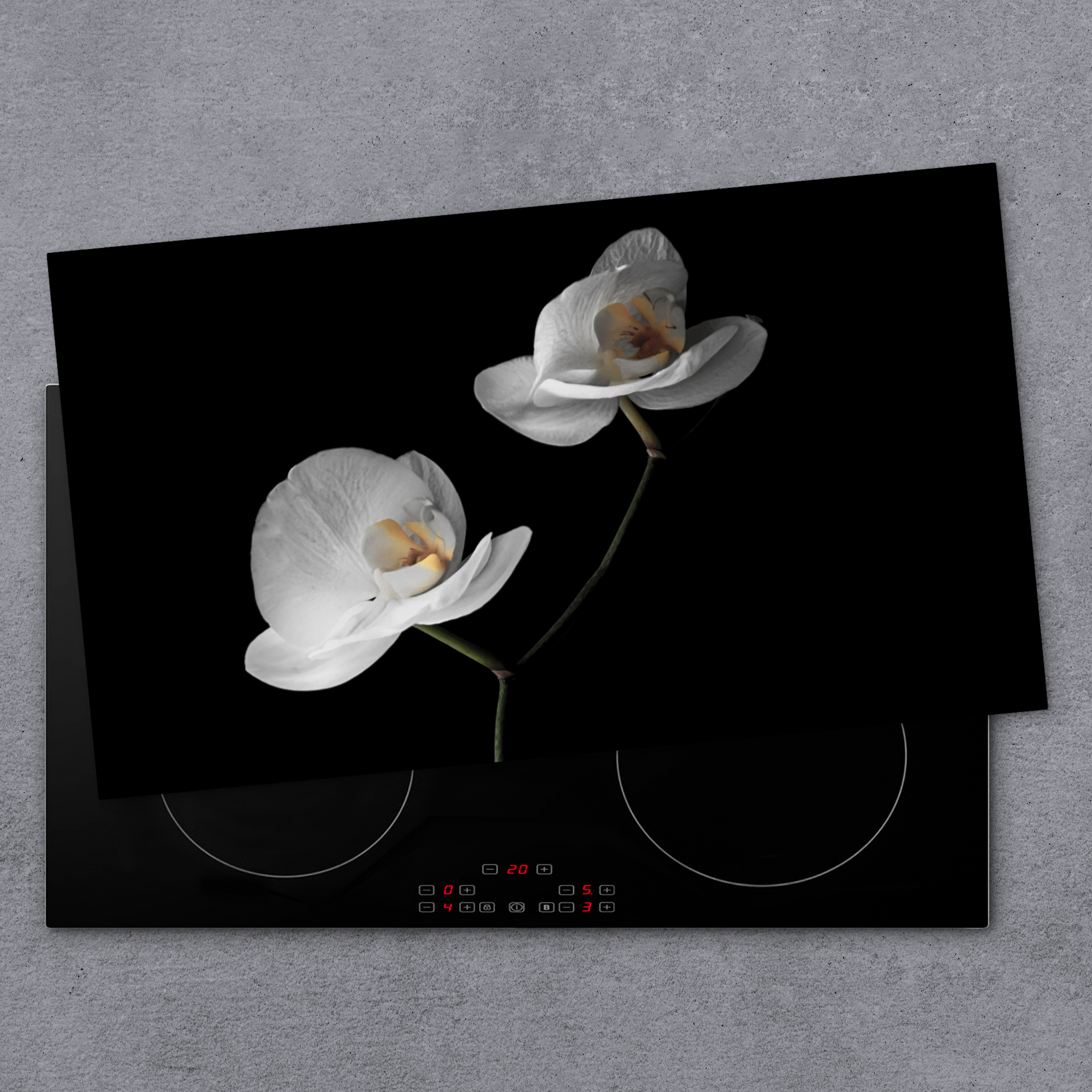 Inductiebeschermer - Orchidee - Bloemen - Zwart - Wit