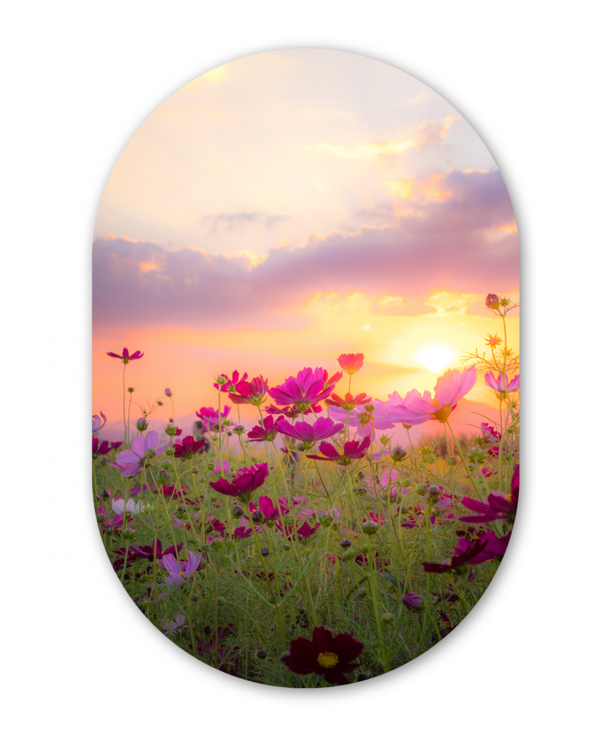 Muurovaal - Zonsondergang - Bloemen - Roze