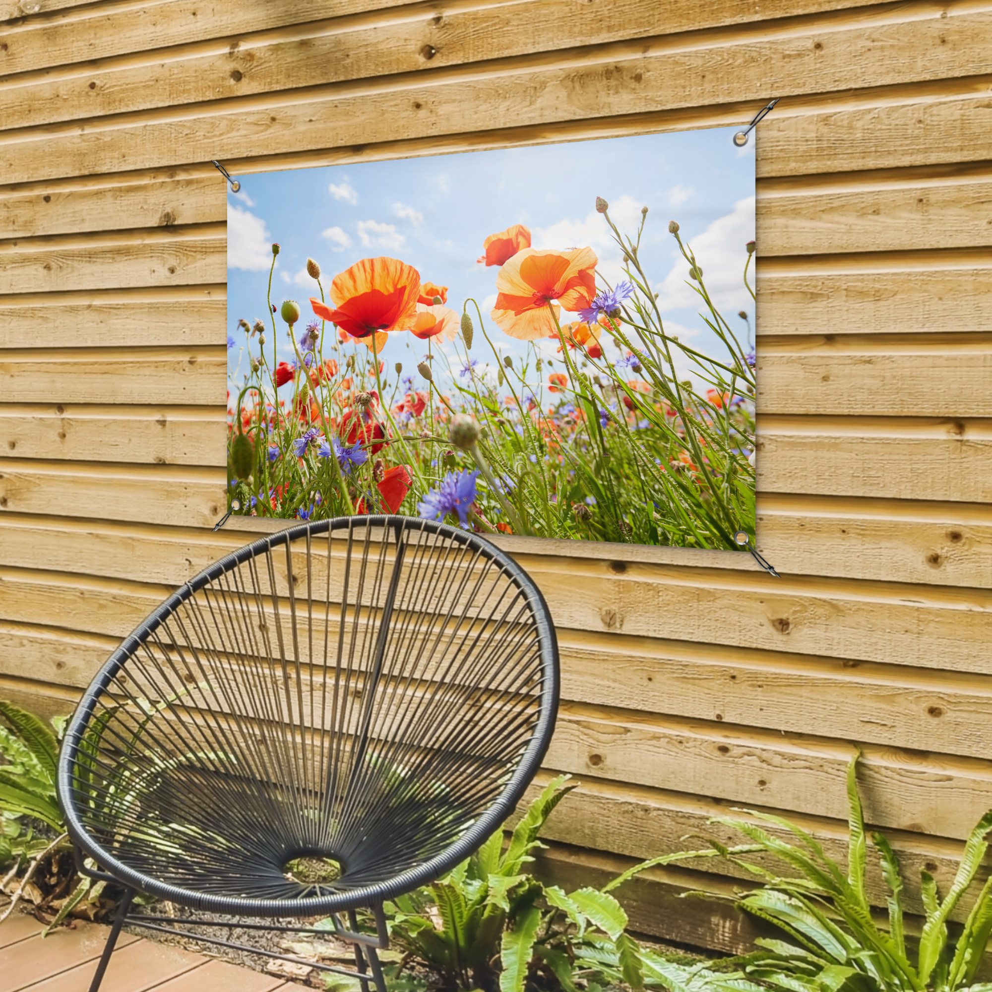 Outdoor Poster - Blumen - Mohn - Frühling - Natur - Rot - Blau - Vertikal-4