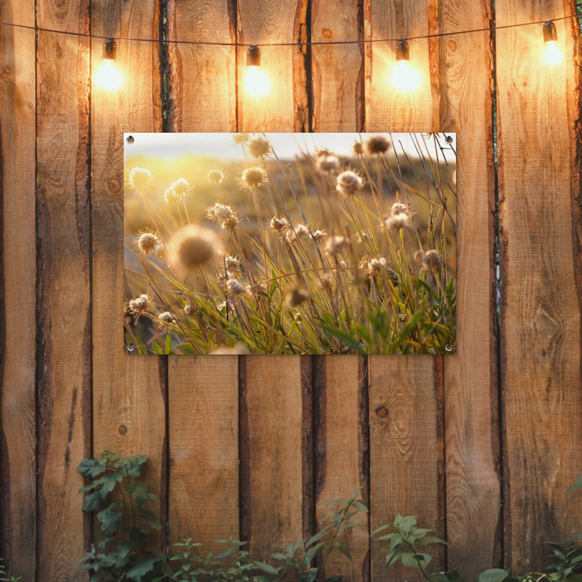 Tuinposter - Planten - Natuur - Bloemen - Zon - Horizon - Liggend-2