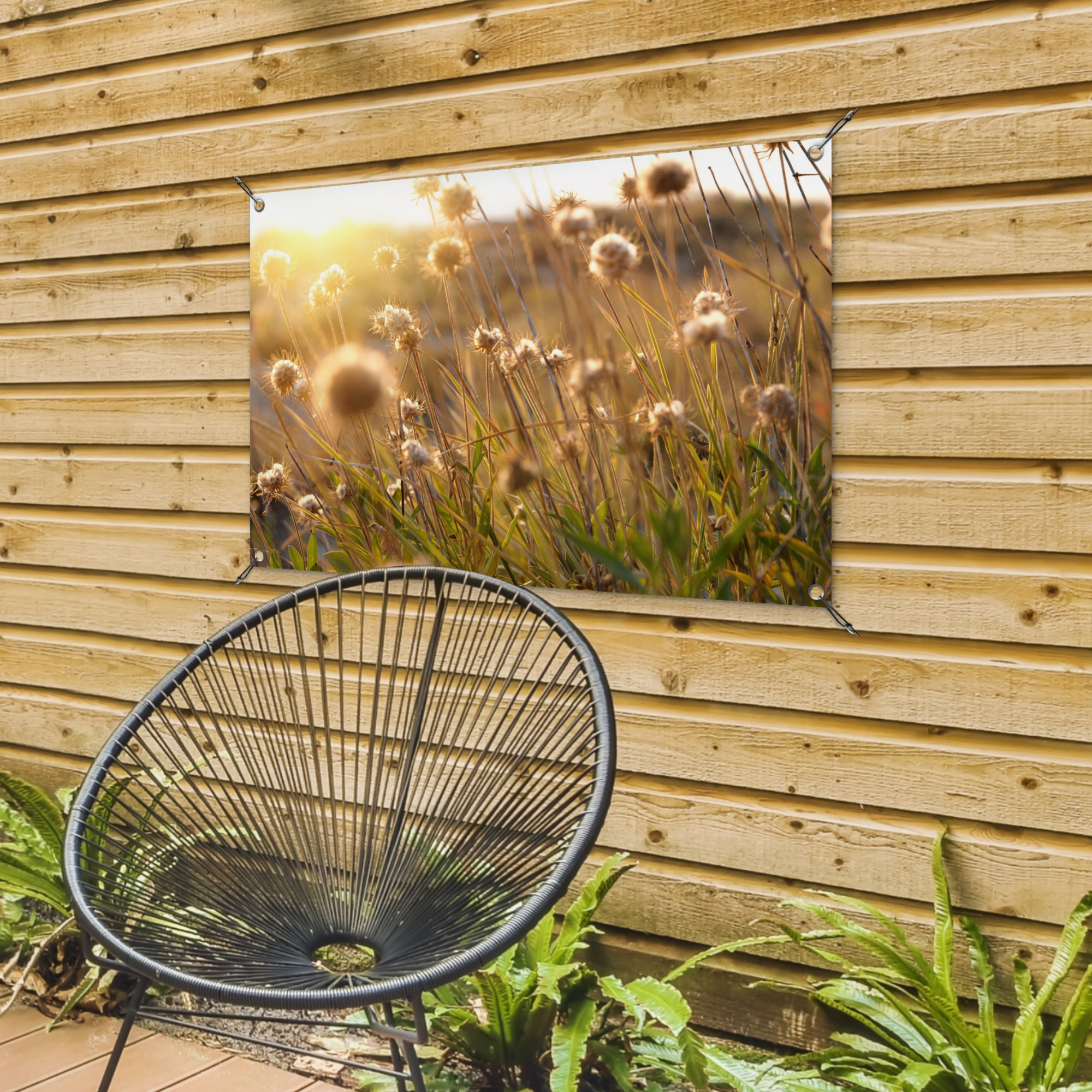 Tuinposter - Planten - Natuur - Bloemen - Zon - Horizon - Liggend-4