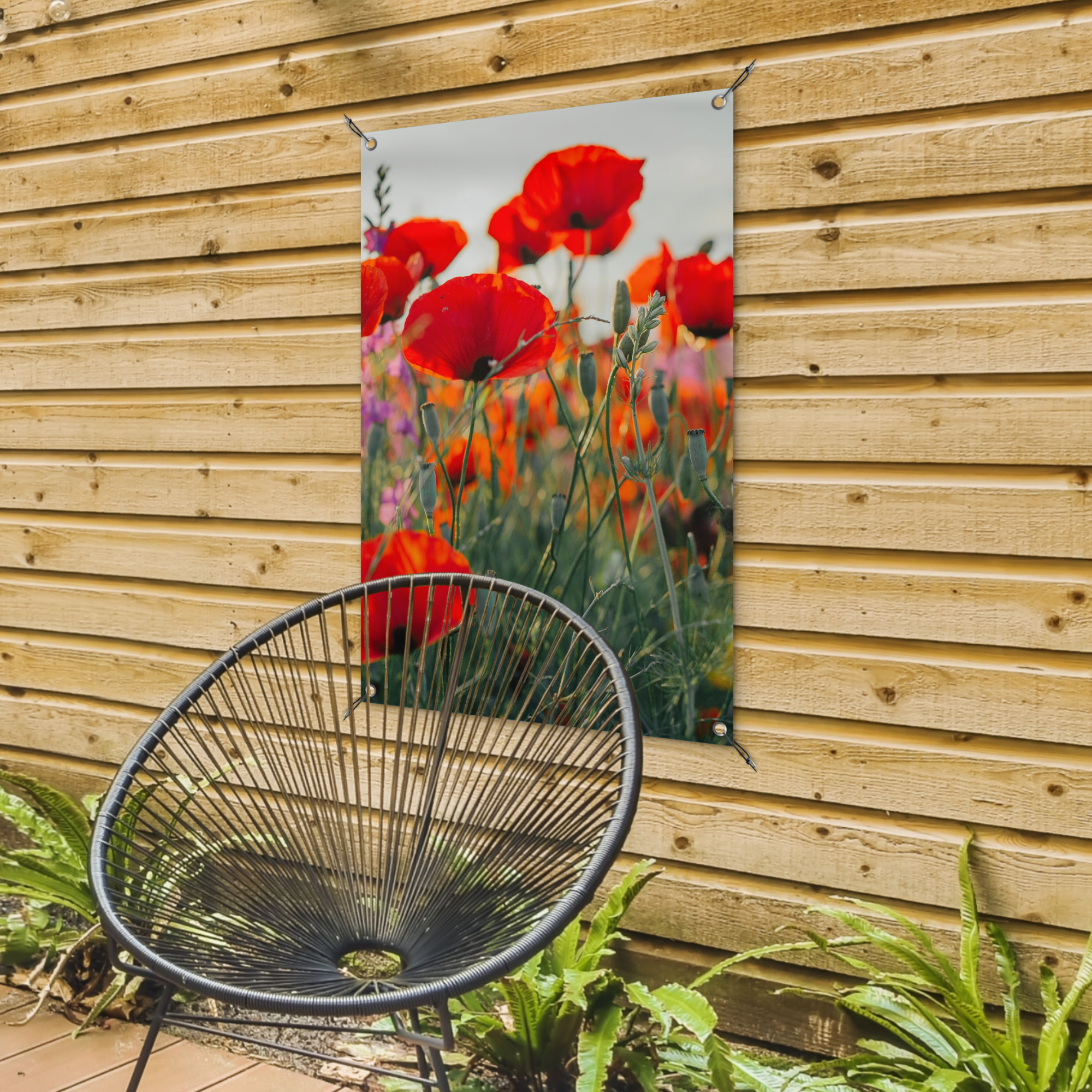 Tuinposter - Klaproos - Bloemen - Rood - Paars - Weide - Staand-4