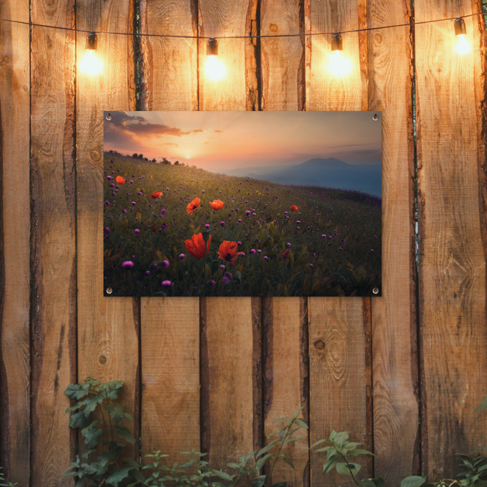 Tuinposter - Bloemenveld - Gras - Bloemen - Planten - Zonsondergang - Oranje - Liggend-2