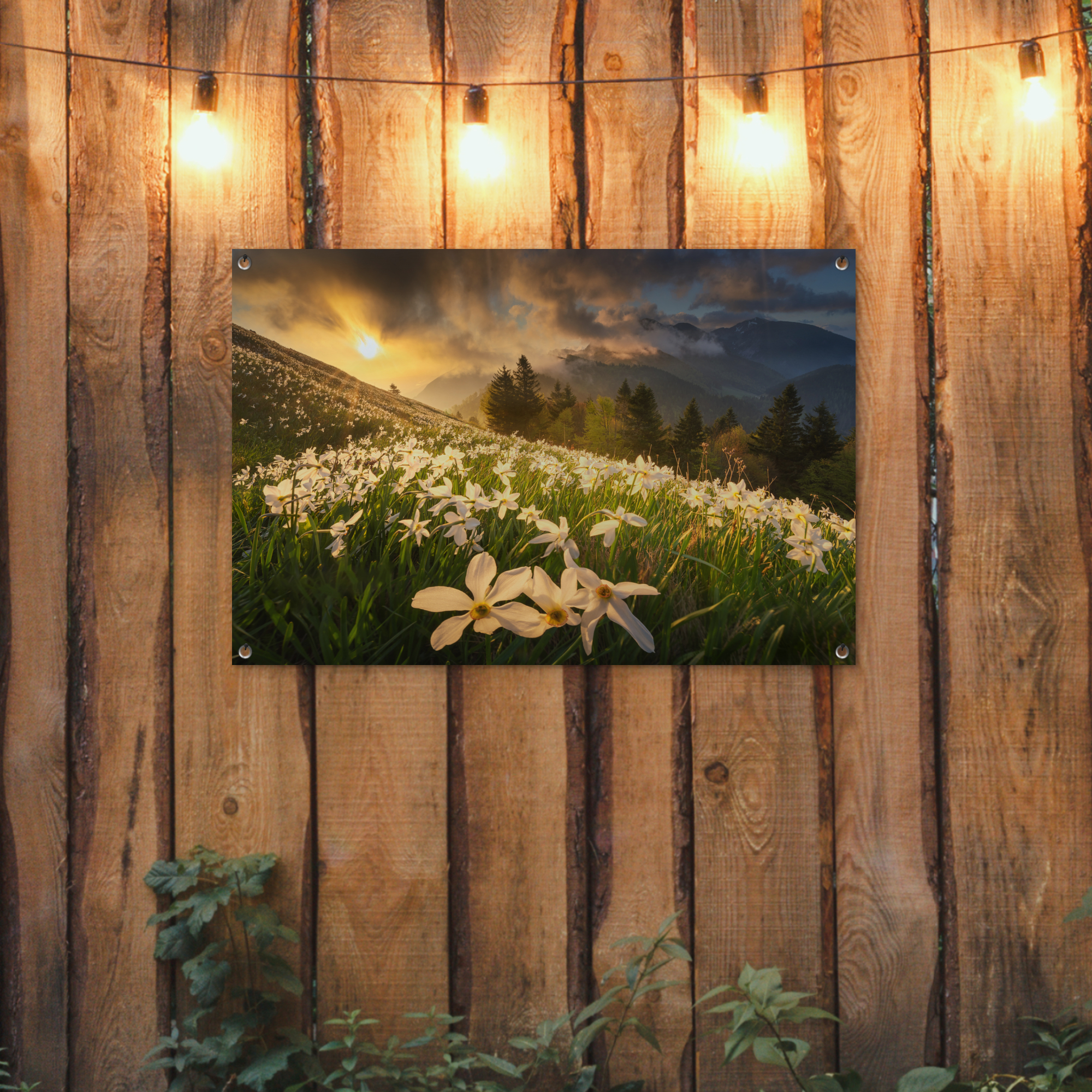 Tuinposter - Bloemenveld - Heuvels - Zonsondergang - Berg - Natuur - Wit - Heuvels - Liggend-2