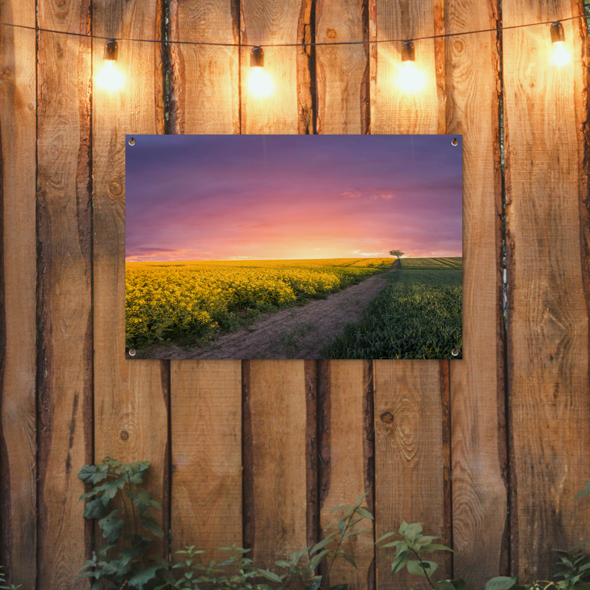 Tuinposter - Bloemen - Weg - Lucht - Geel - Paars - Zonsondergang - Natuur - Liggend-2