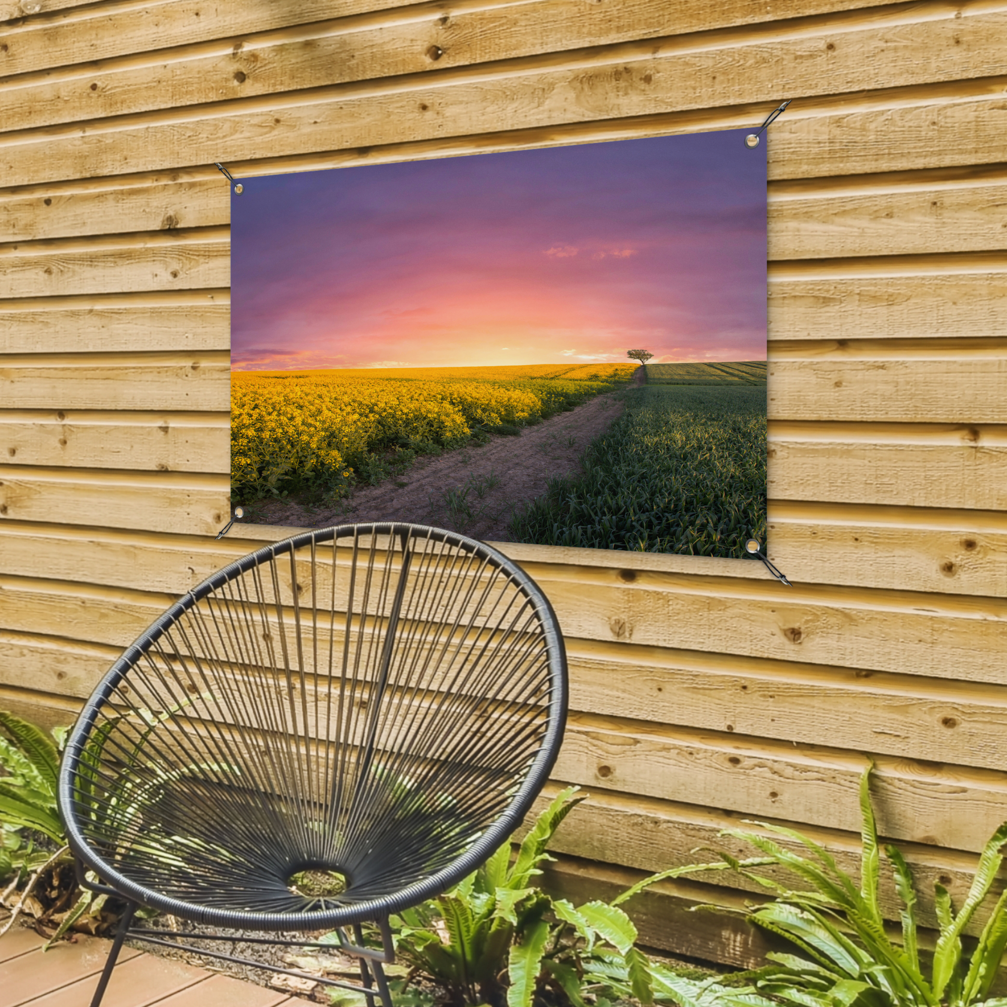 Tuinposter - Bloemen - Weg - Lucht - Geel - Paars - Zonsondergang - Natuur - Liggend-4