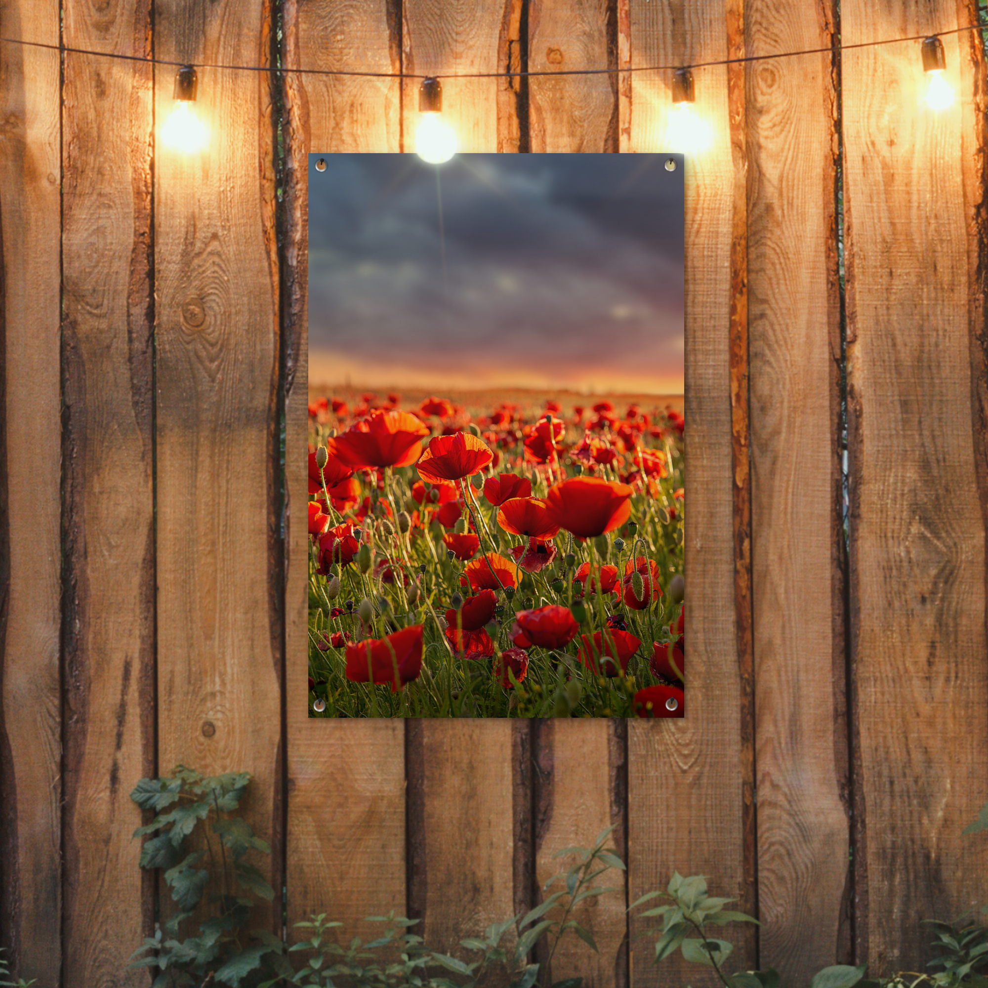 Tuinposter - Zonsondergang - Klaprozen - Rood - Bloemen - Veld - Natuur - Staand-2