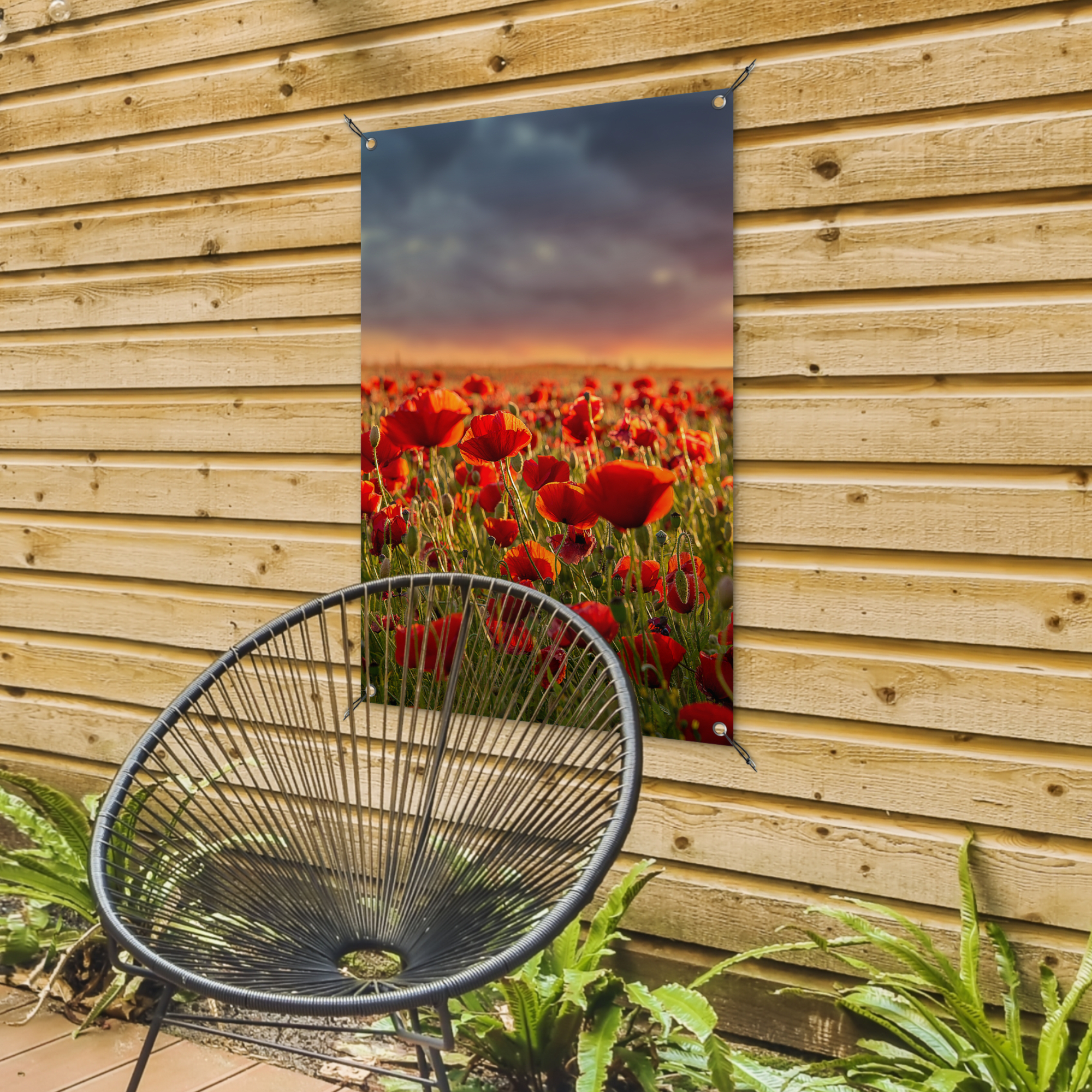 Tuinposter - Zonsondergang - Klaprozen - Rood - Bloemen - Veld - Natuur - Staand-4