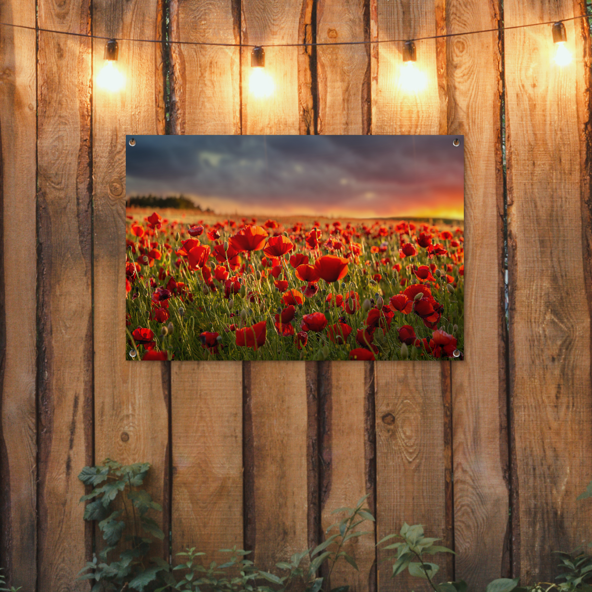 Tuinposter - Zonsondergang - Klaprozen - Rood - Bloemen - Veld - Natuur - Liggend-2