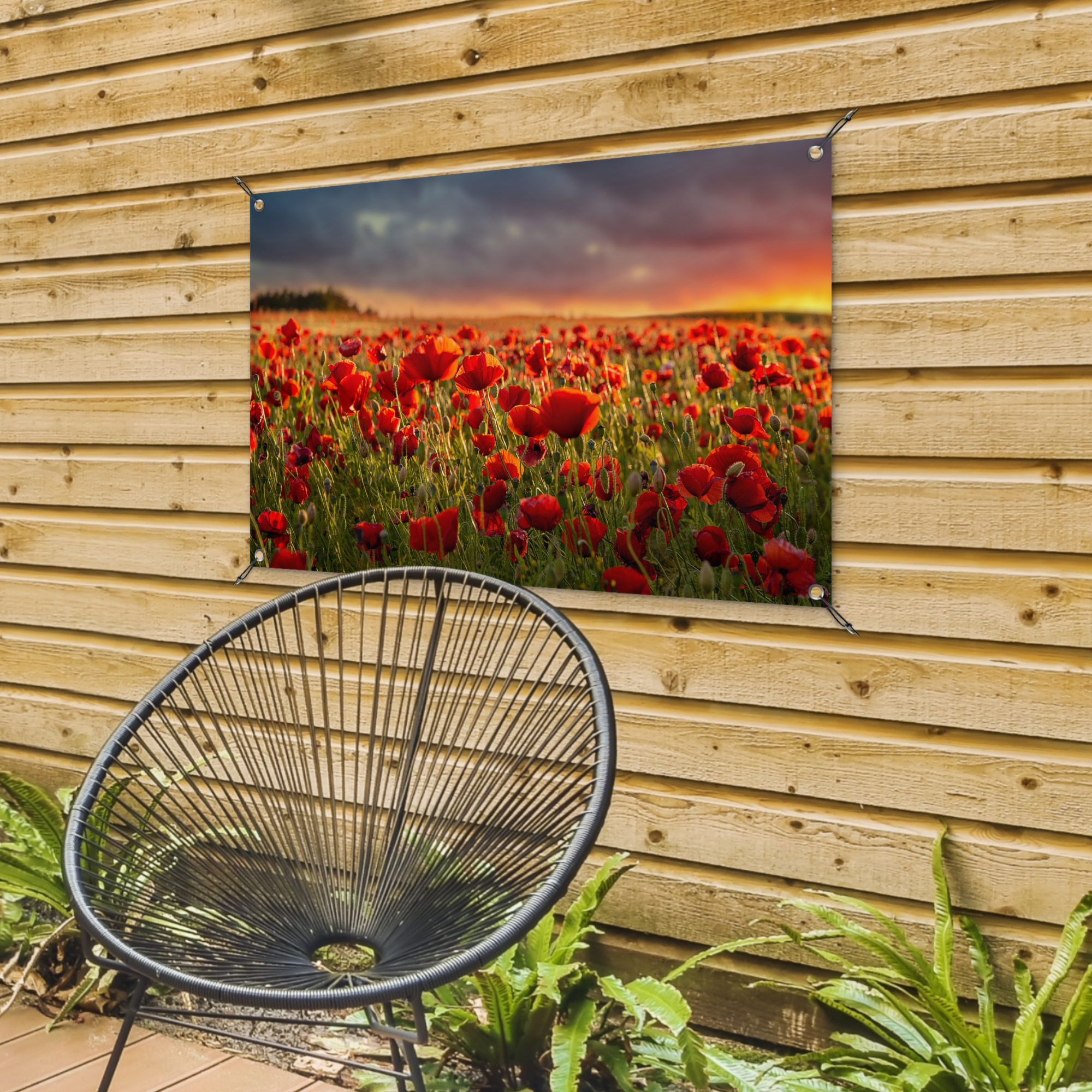 Tuinposter - Zonsondergang - Klaprozen - Rood - Bloemen - Veld - Natuur - Liggend-4