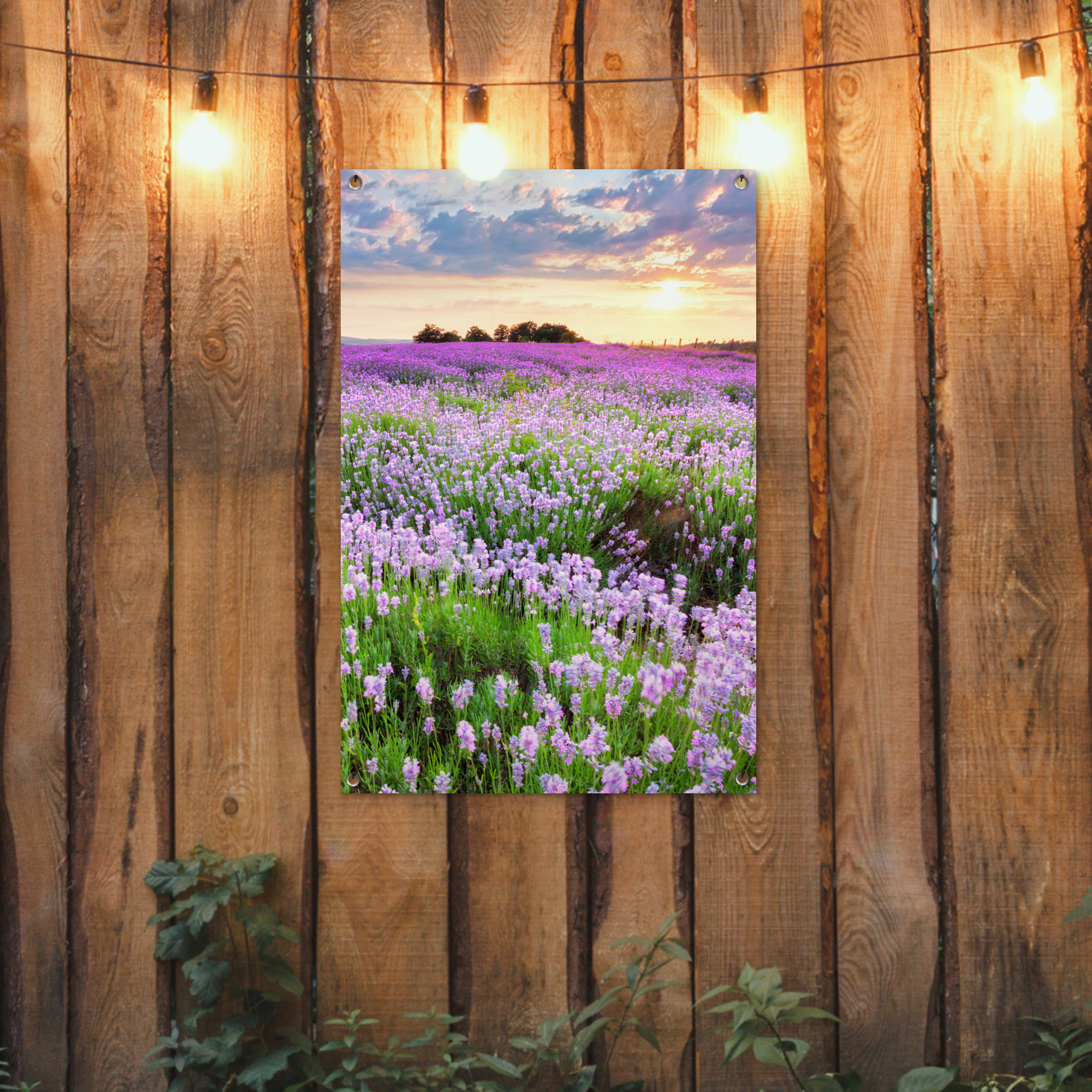 Tuinposter - Bloemen - Lavendel - Paars - Lucht - Zonsondergang - Weide - Natuur - Staand-2