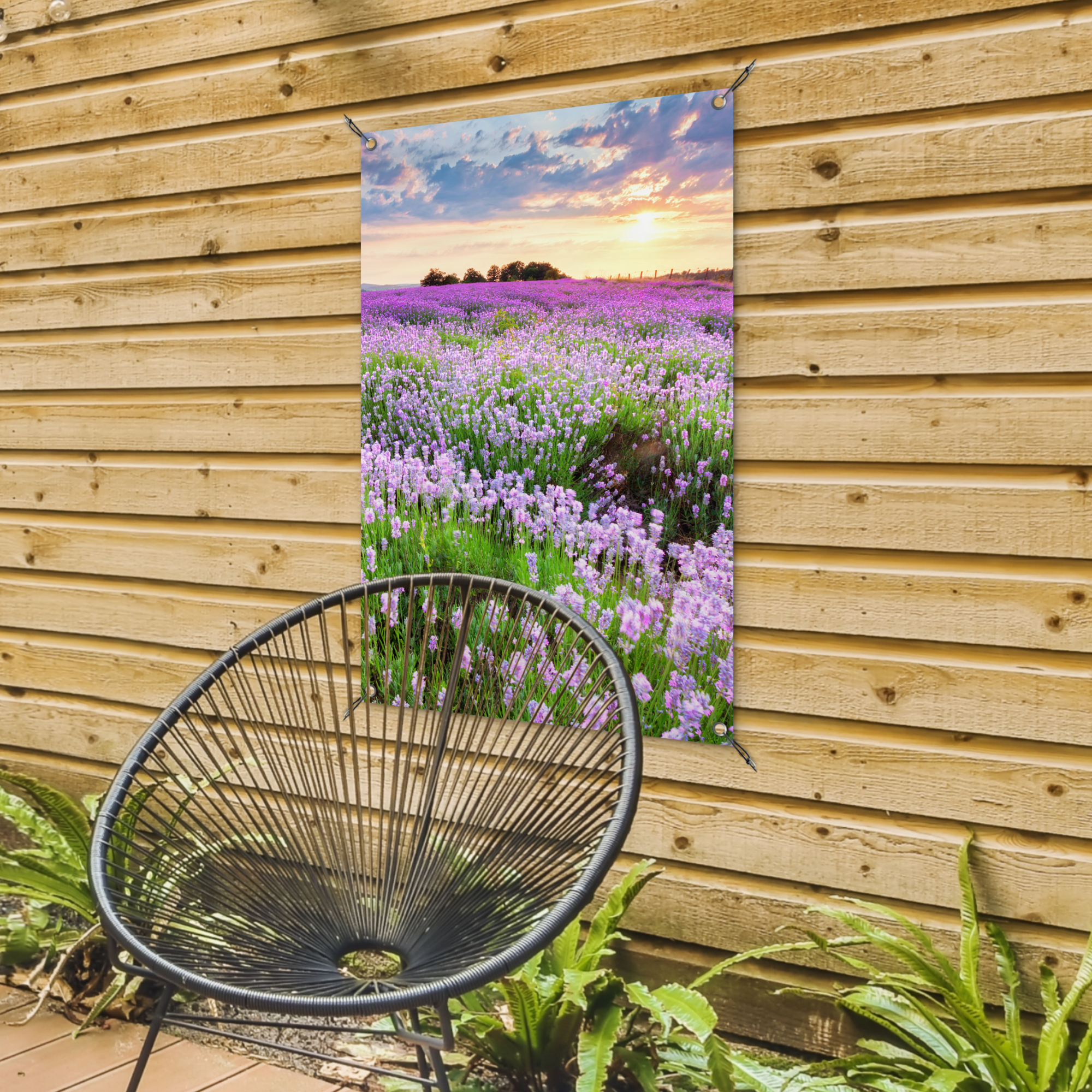 Tuinposter - Bloemen - Lavendel - Paars - Lucht - Zonsondergang - Weide - Natuur - Staand-4