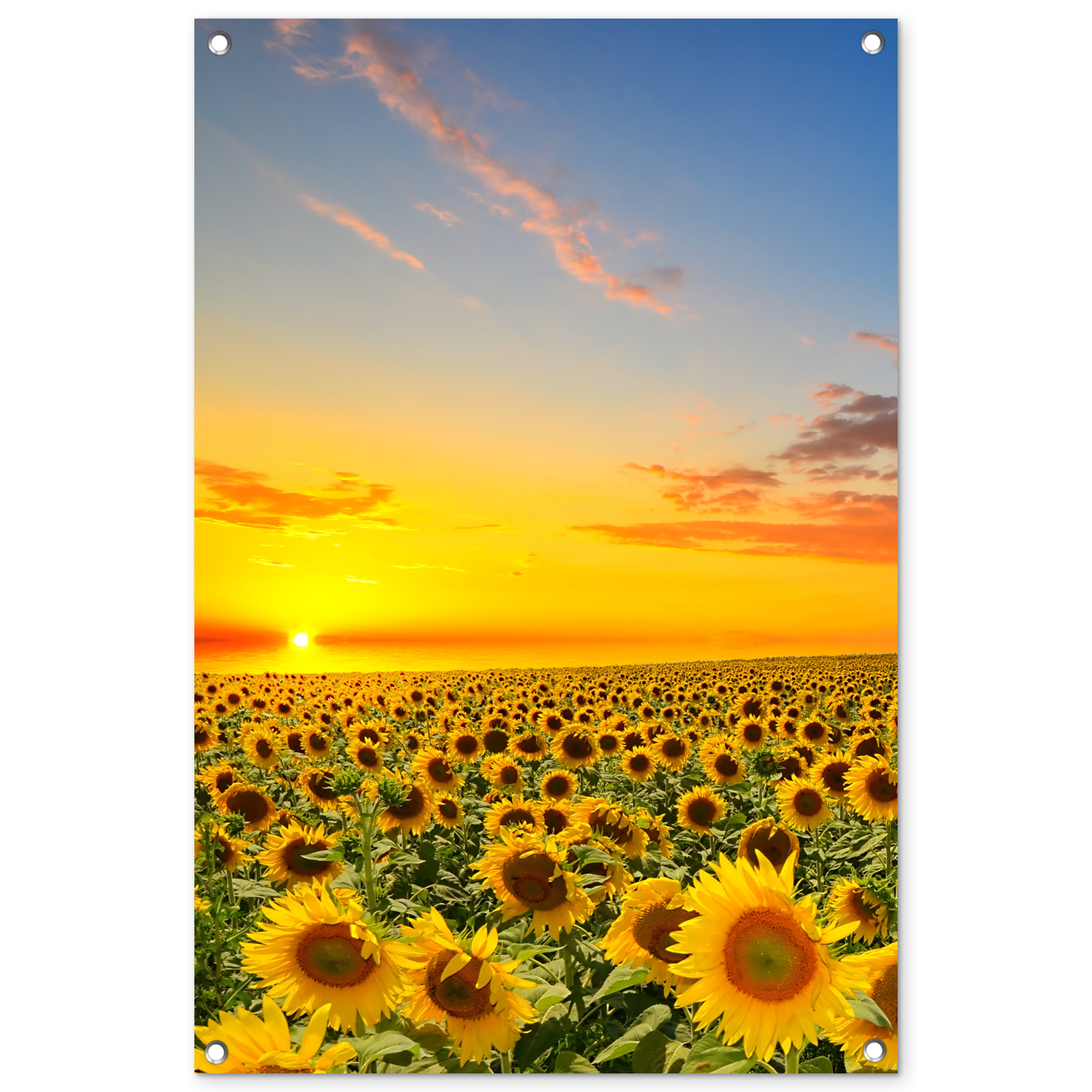 Tuinposter - Bloemen - Zonnebloem - Zonsondergang - Nacht - Oranje - Staand