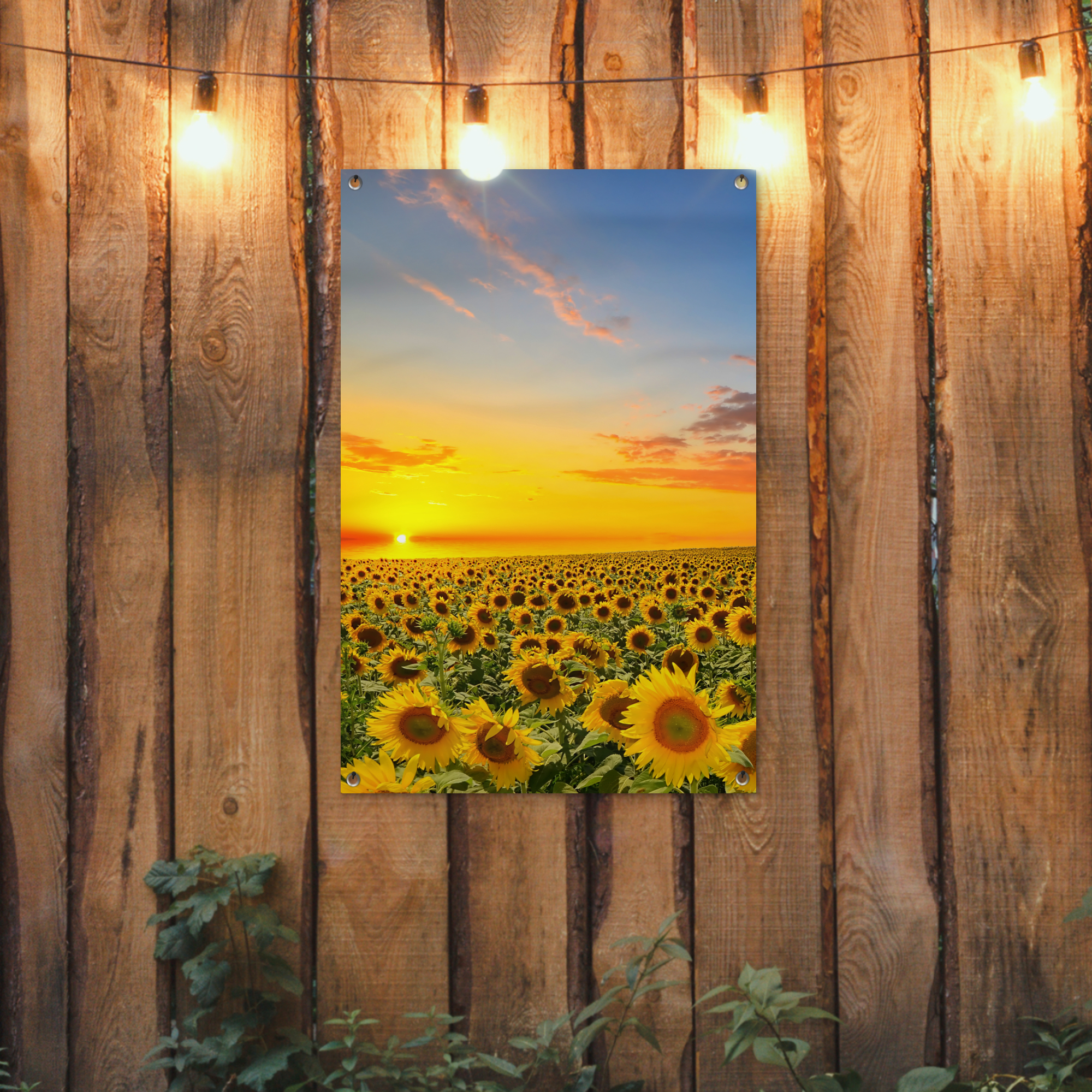 Tuinposter - Bloemen - Zonnebloem - Zonsondergang - Nacht - Oranje - Staand-2
