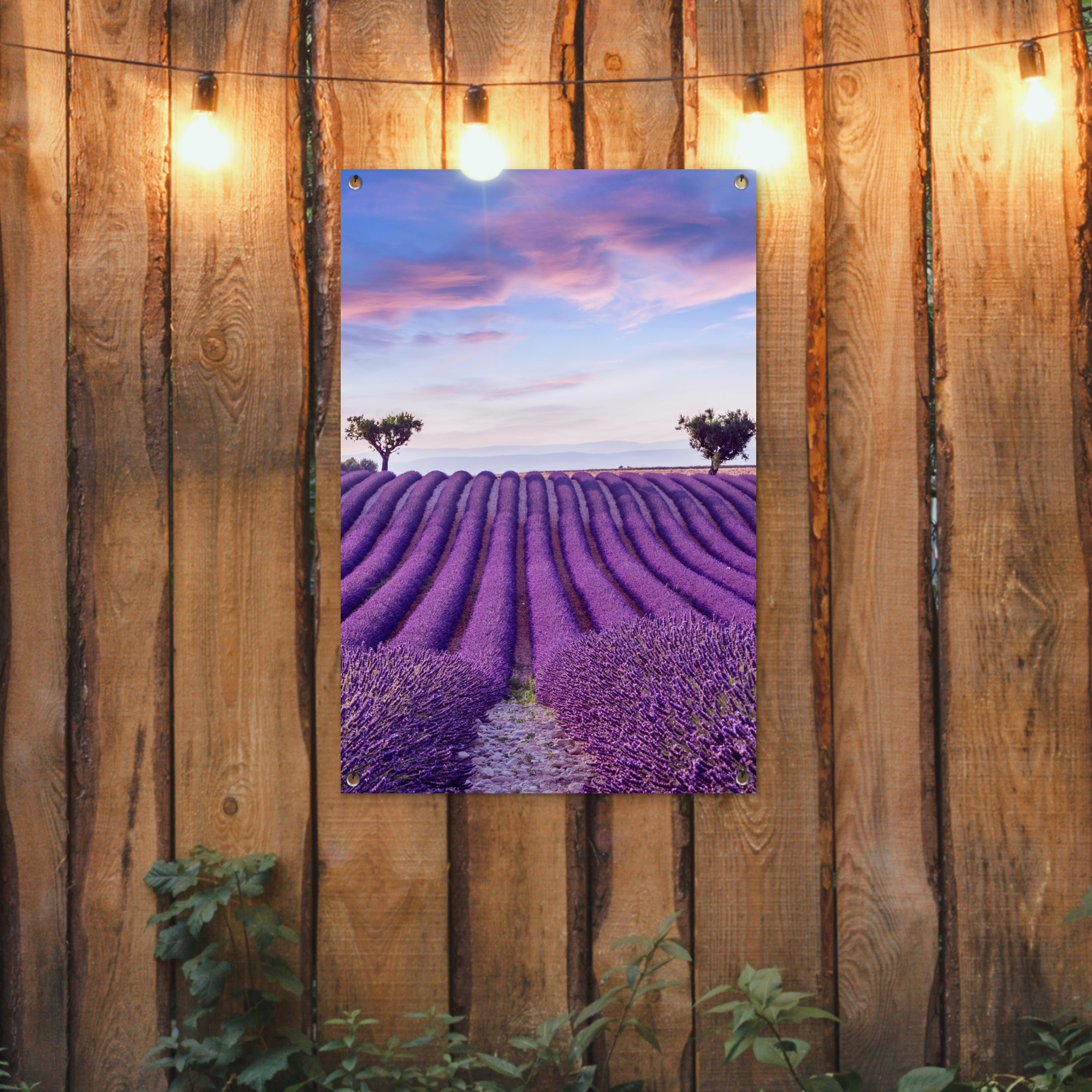 Outdoor Poster - Lavendel - Natur - Lila - Bäume - Blumen - Vertikal-2