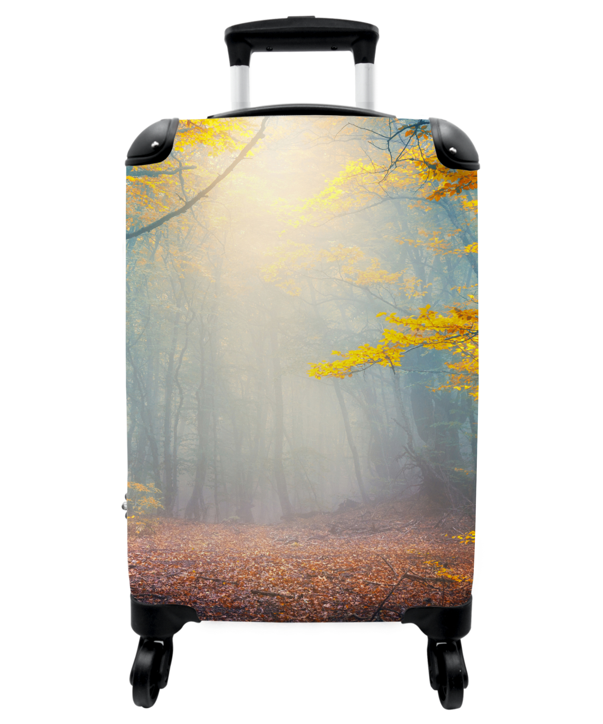 Koffer - Bos - Herfst - Mist - Bomen - Natuur