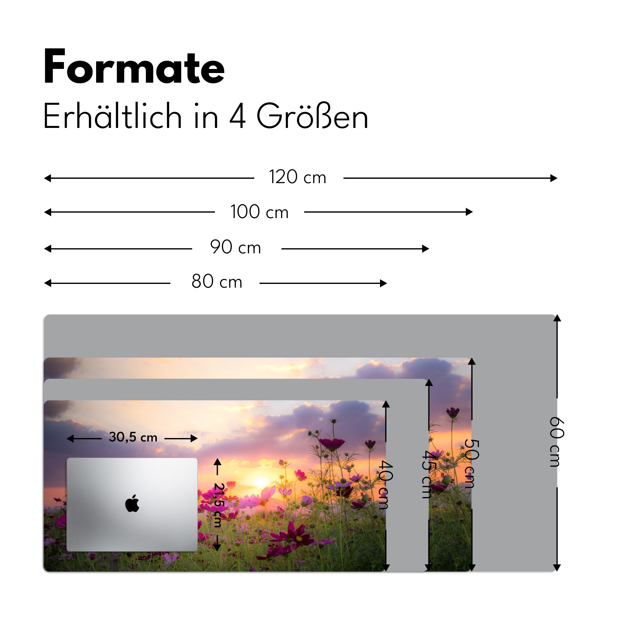 Schreibtischunterlage - Blumen - Rosa - Sonnenuntergang - Natur - Wiese - Horizont-4