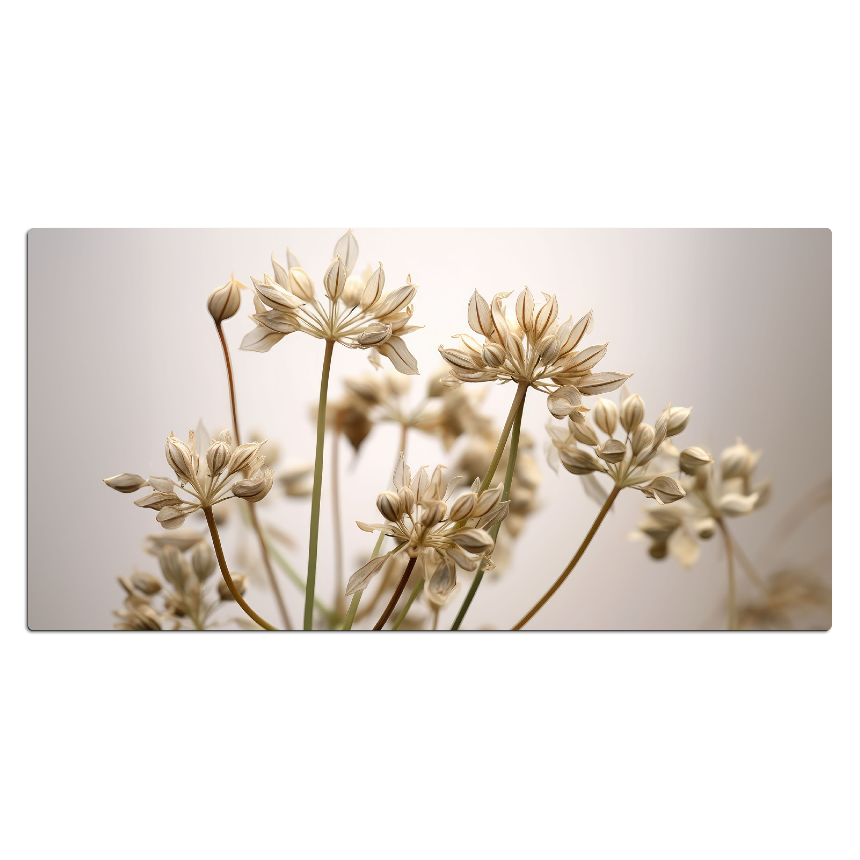 Schreibtischunterlage - Trockenblumen - Beige - Weiß - Pflanzen