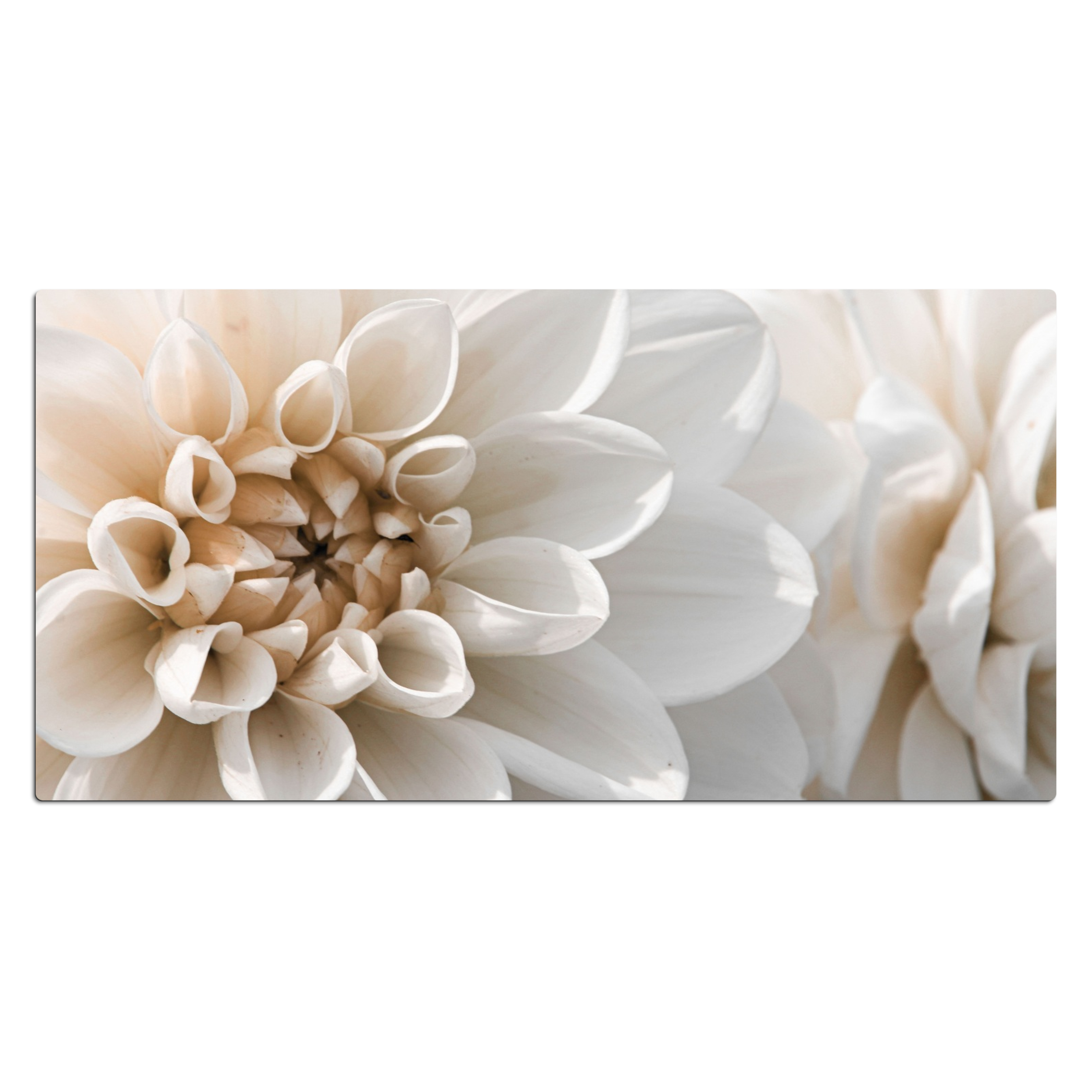 Schreibtischunterlage - Blumen - Weiß - Natur