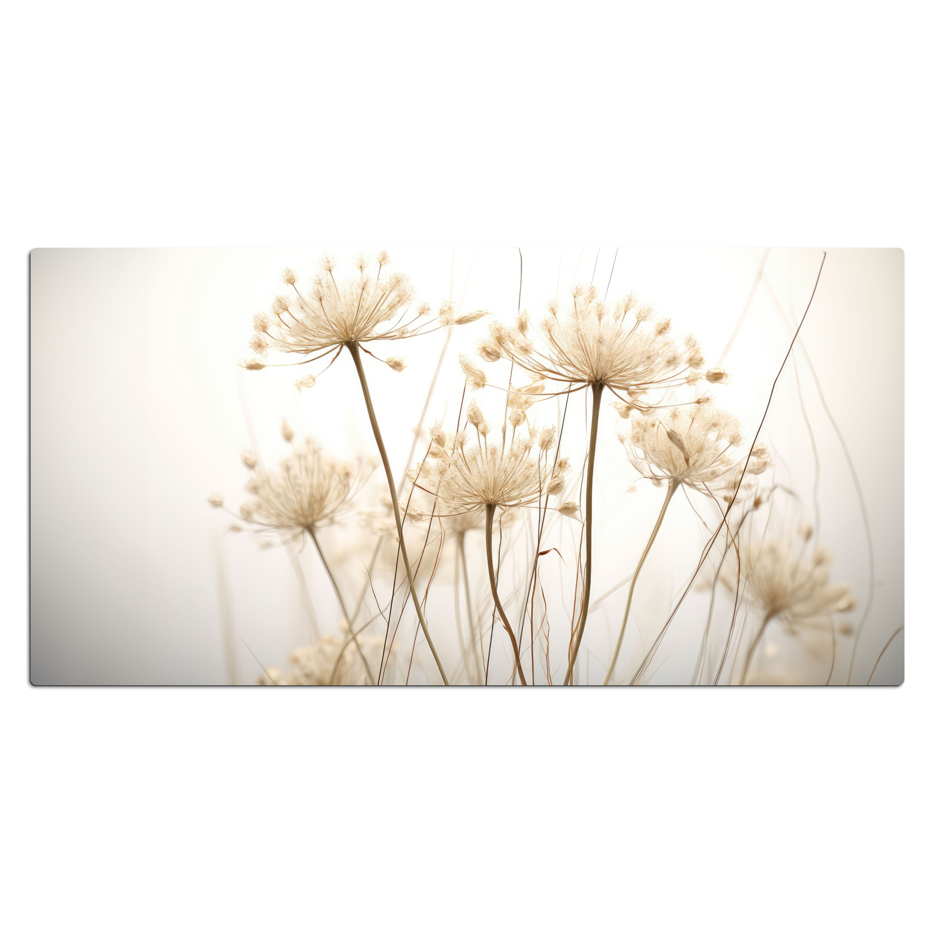 Schreibtischunterlage - Blumen - Weiß - Sonnenlicht