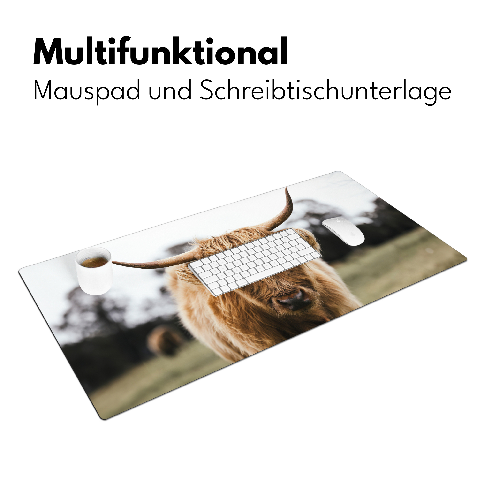 Schreibtischunterlage - Schottischer Highlander - Kuh - Gras - Tiere - Natur-3