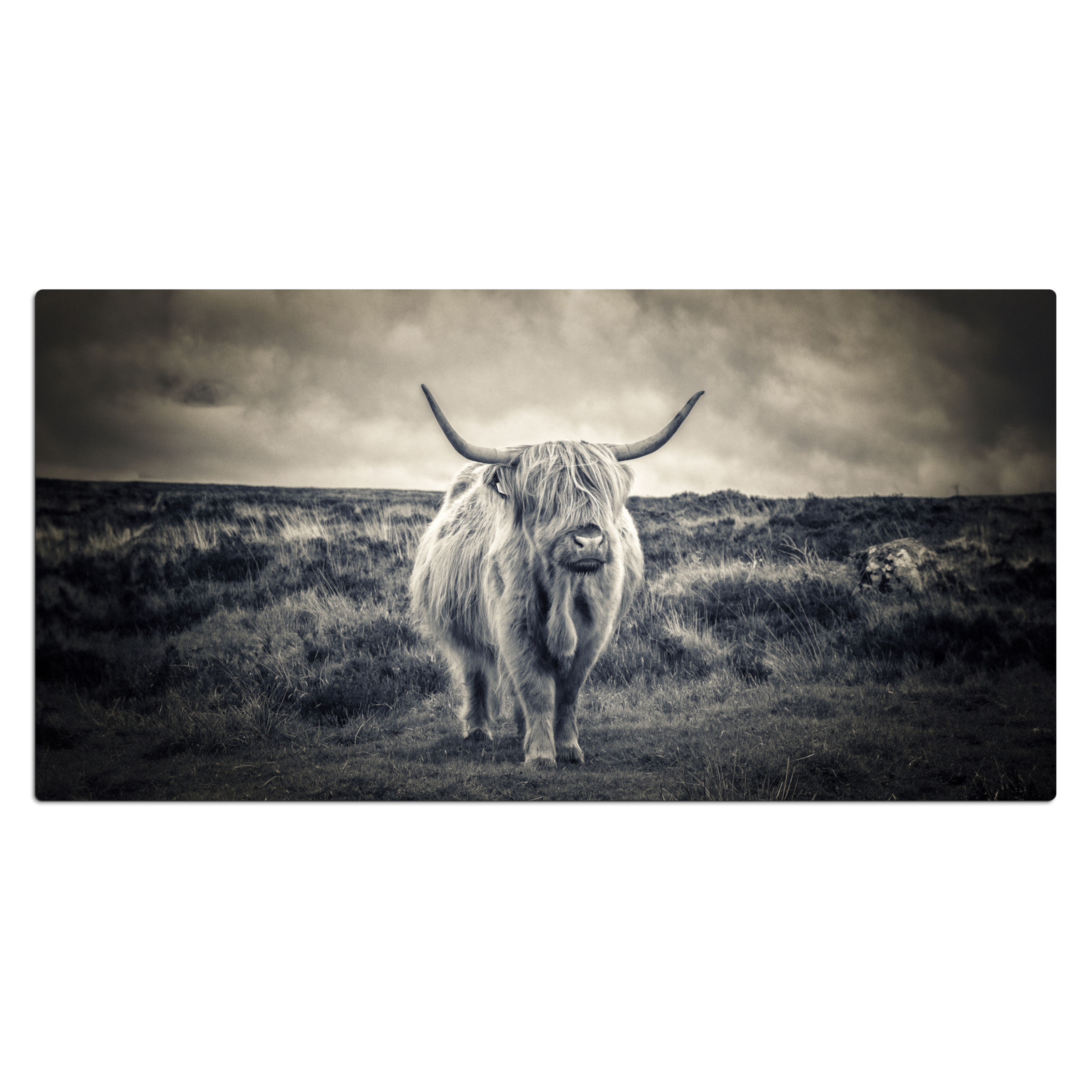 Bureau onderlegger - Schotse Hooglander - Dieren - Wolken - Koe - Natuur