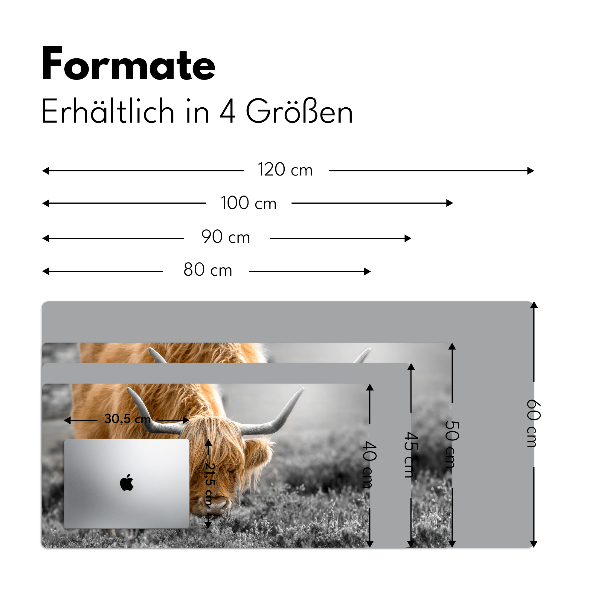 Schreibtischunterlage - Schottischer Highlander - Tiere - Braun - Kuh - Schwarz - Weiß-4