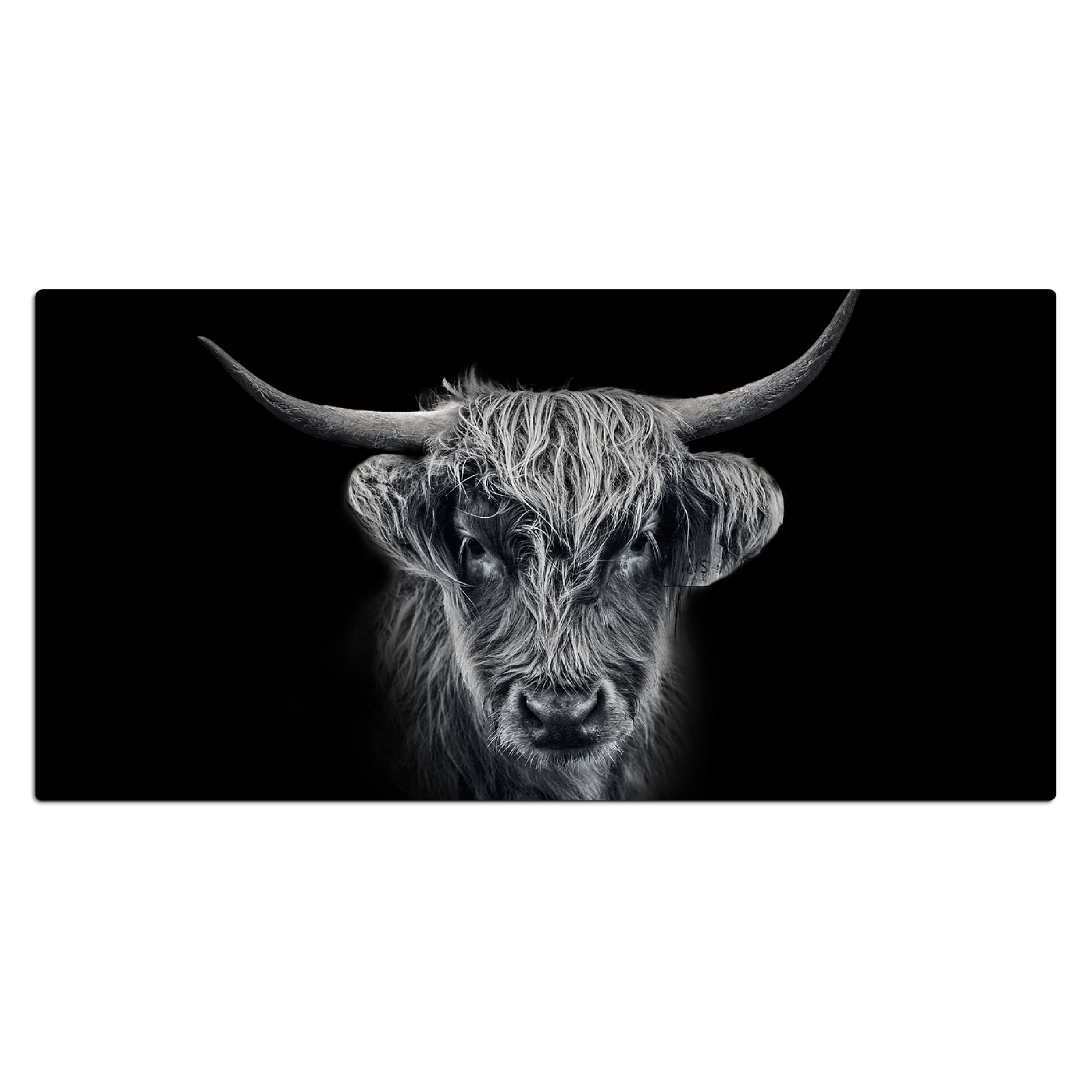 Schreibtischunterlage - Schottischer Highlander - Schwarz - Kuh - Tiere