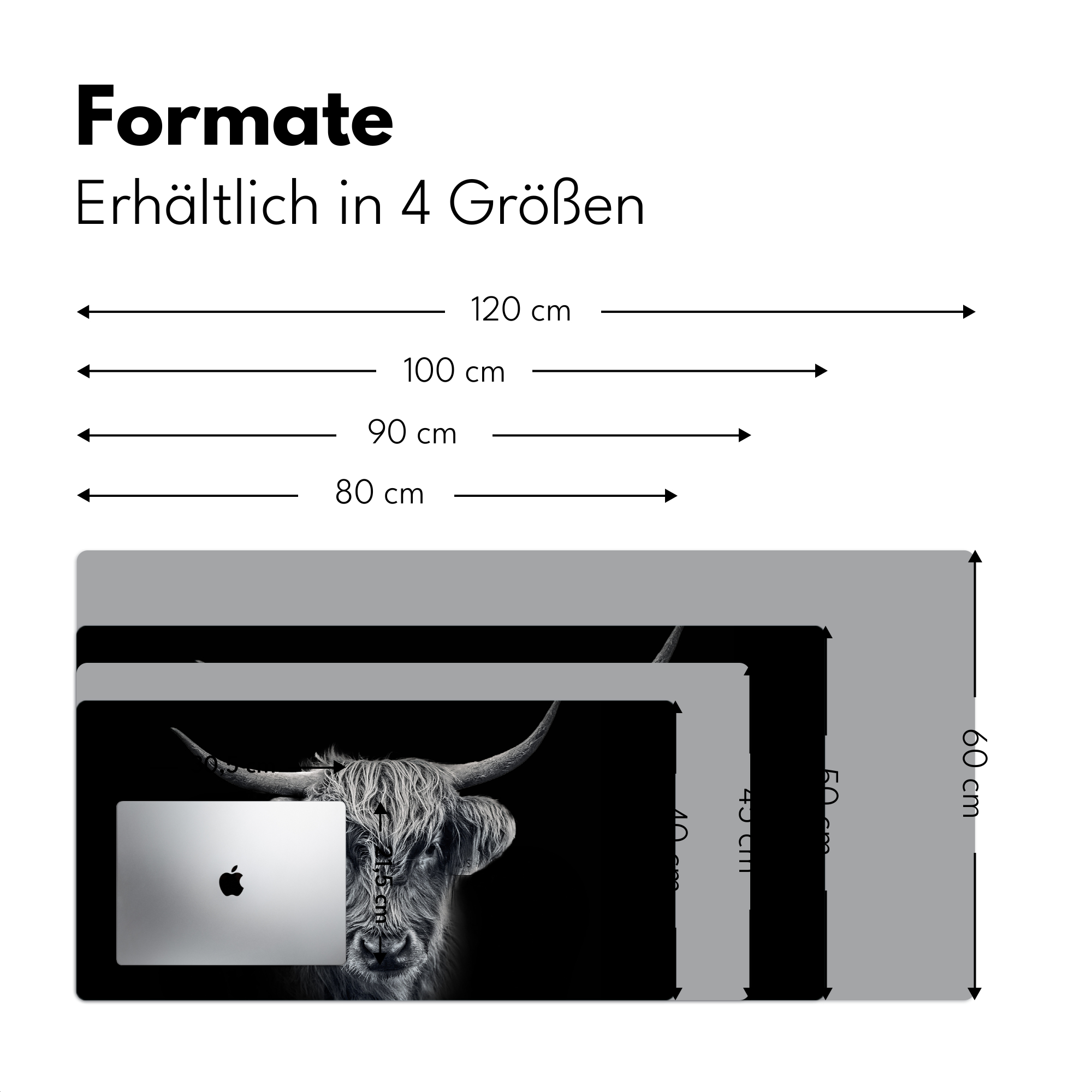 Schreibtischunterlage - Schottischer Highlander - Schwarz - Kuh - Tiere-4