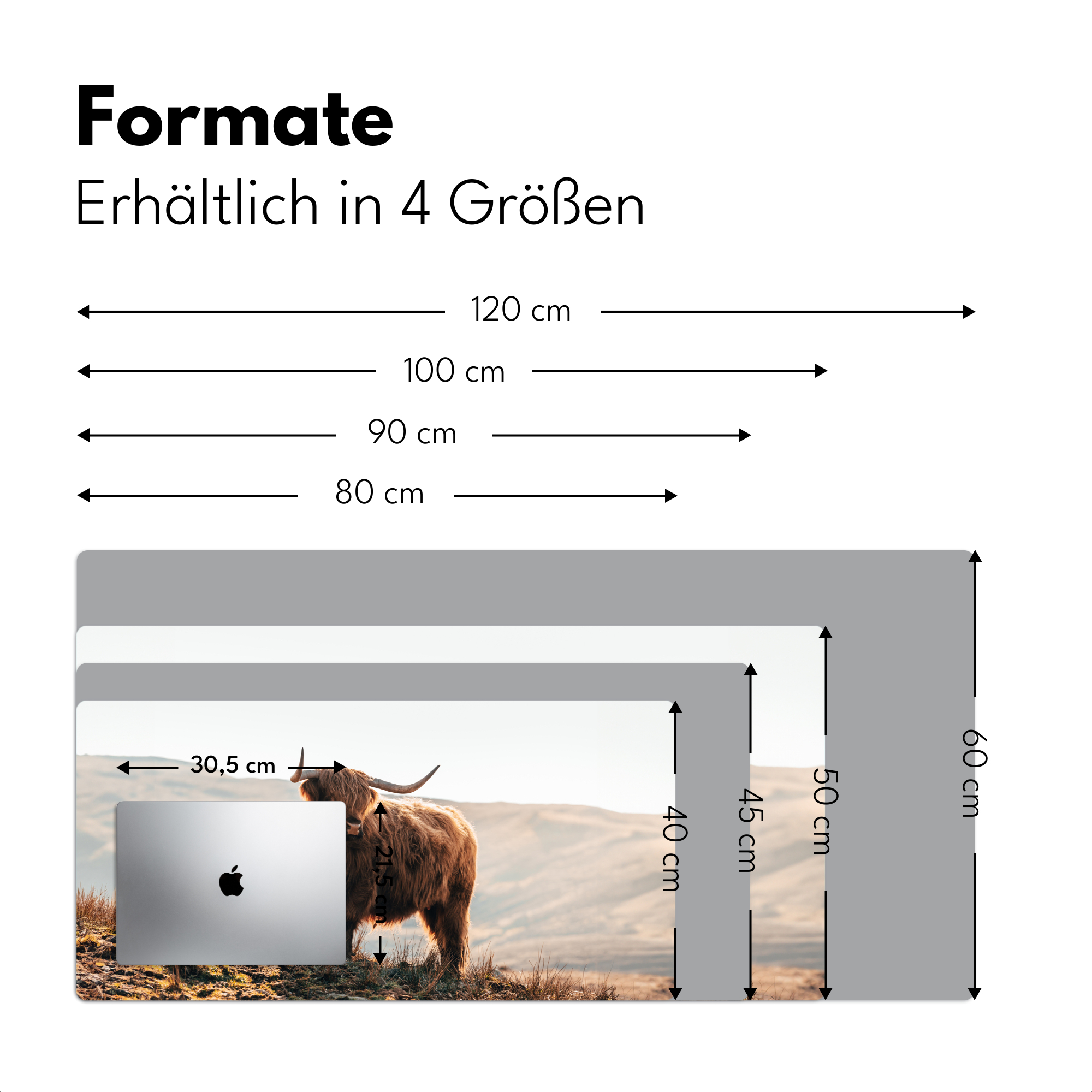 Schreibtischunterlage - Schottischer Highlander - Tiere - Ländlich - Landschaft - Kuh - Natur-4