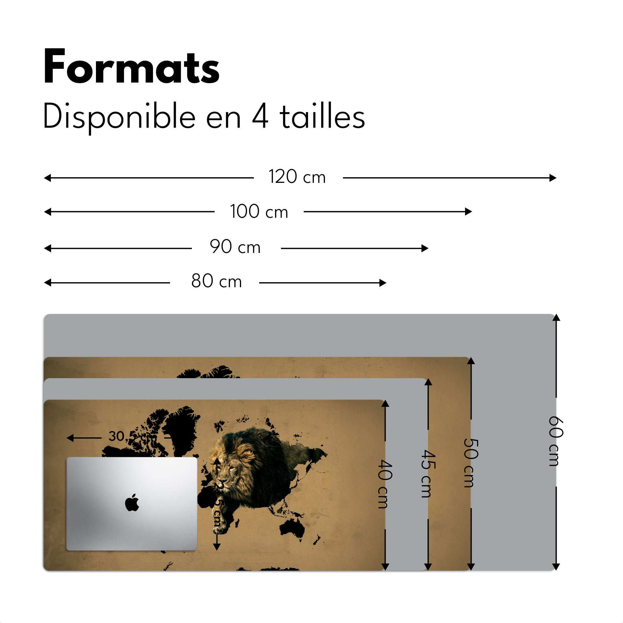 Sous main bureau - Carte du monde - Marron - Lion-4