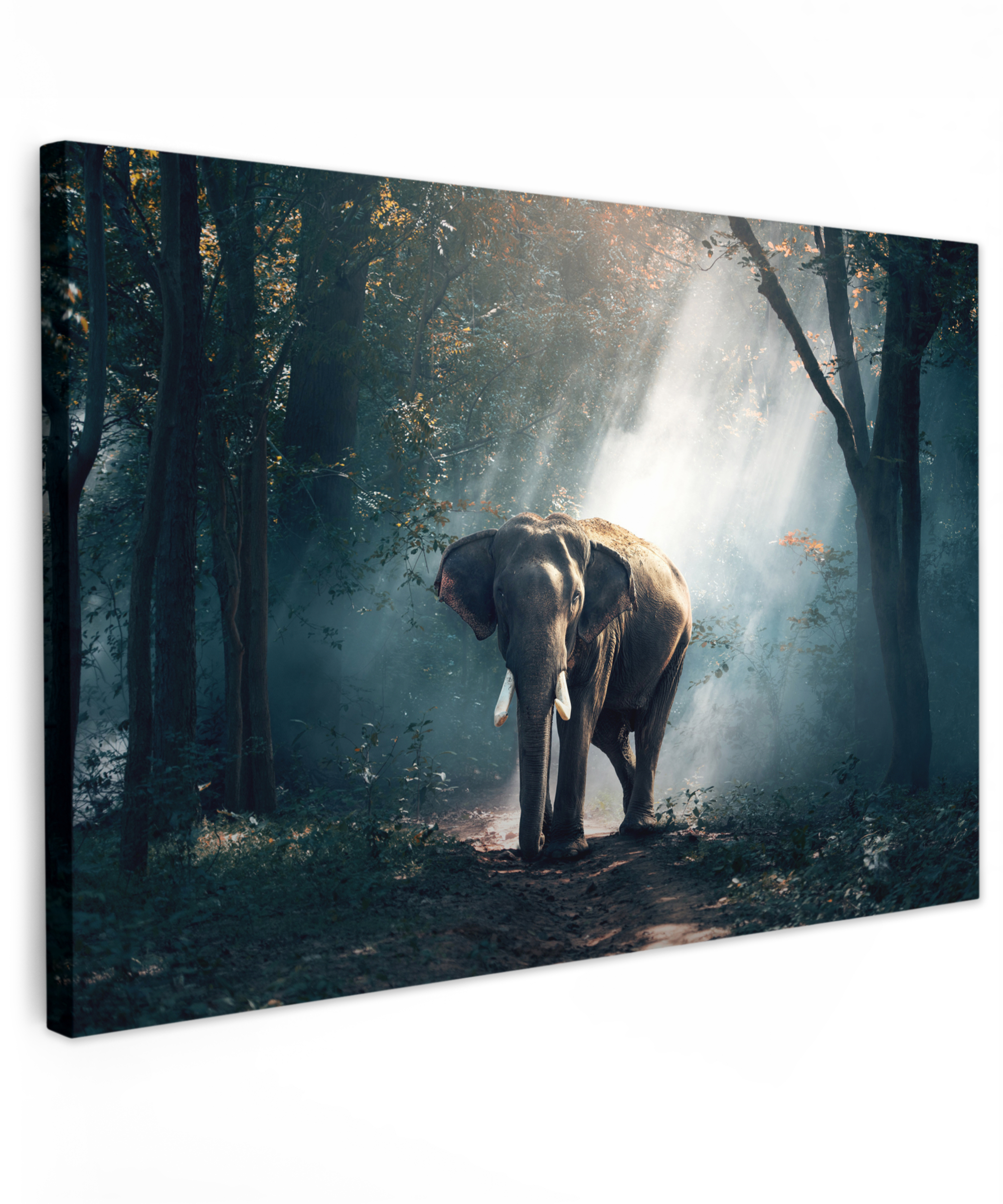 Canvas - Olifant - Licht - Bos - Natuur - Wilde dieren-1