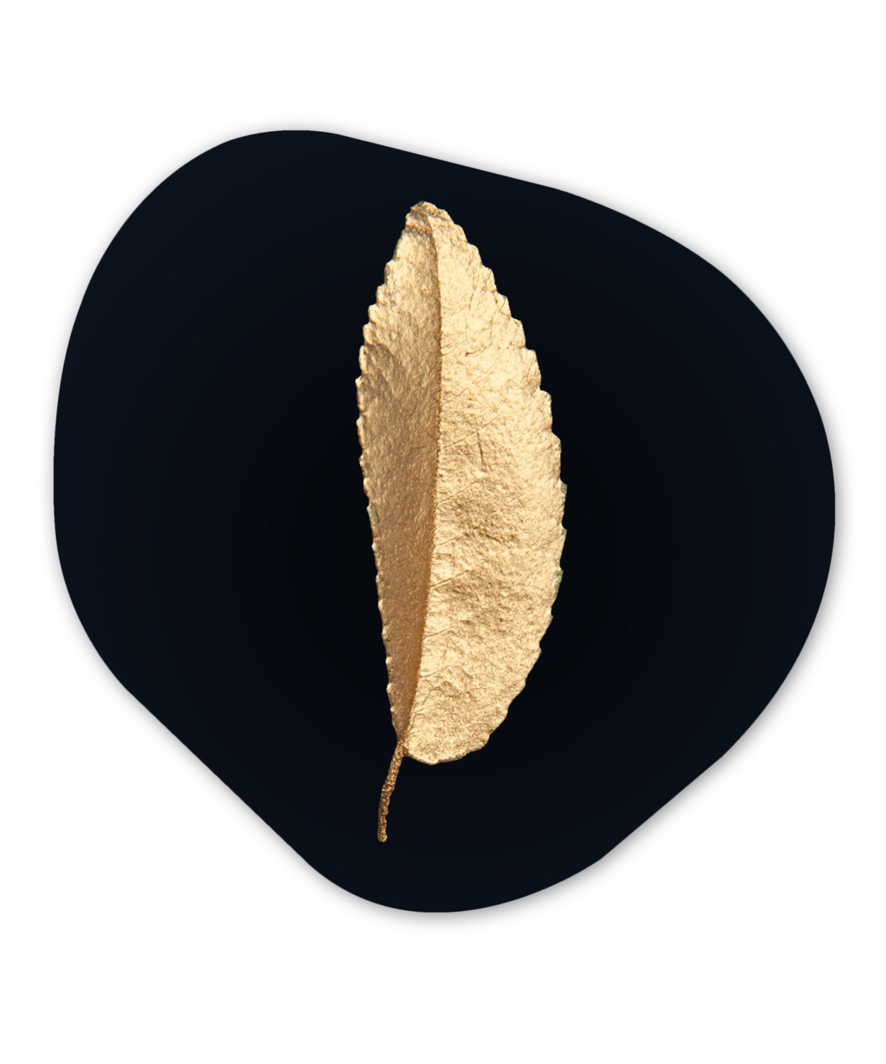 Organisch schilderij - Bladeren - Black & gold - Chic