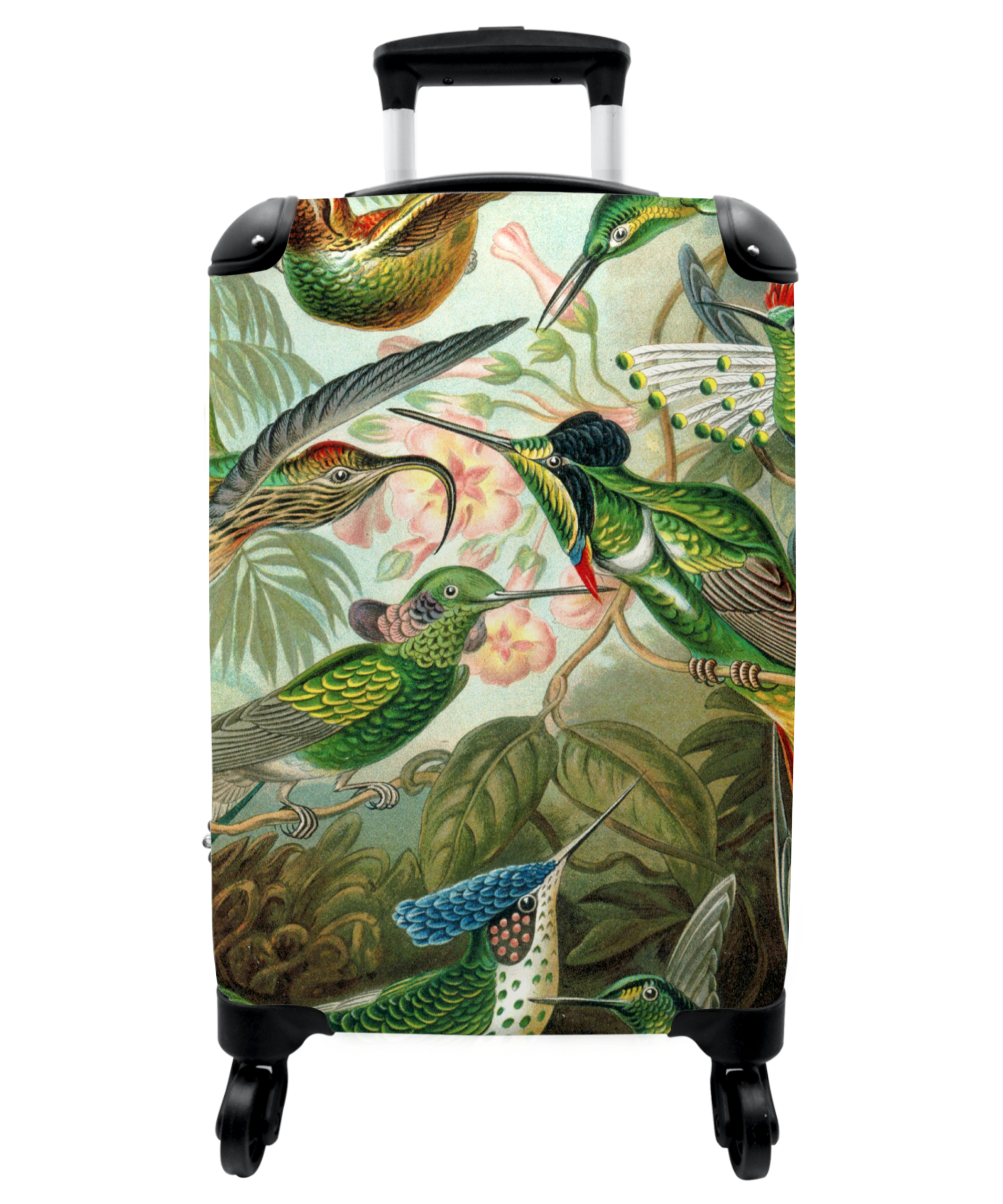 Koffer - Kunst - Vogel - Oude meesters - Haeckel - Groen