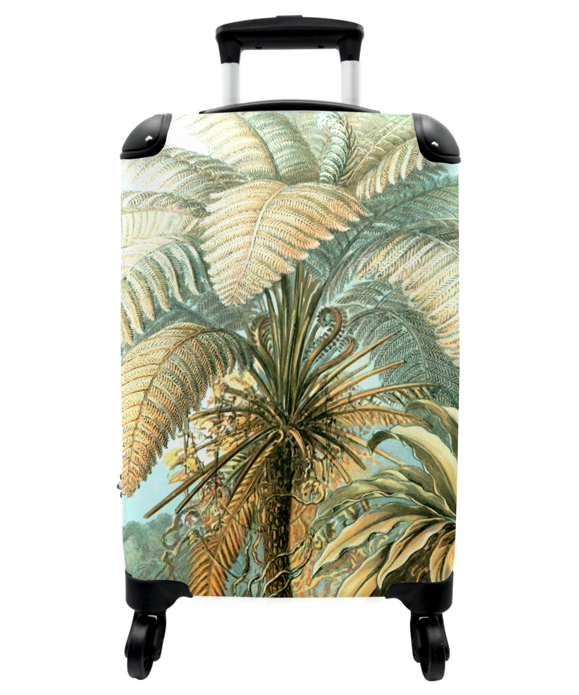 Koffer - Vintage - Palmboom - Haeckel - Kunst - Tropisch-thumbnail-1