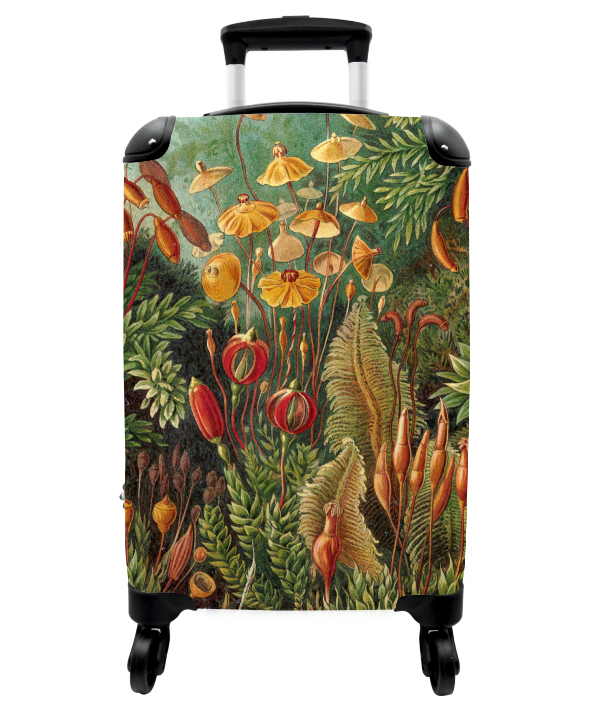 Koffer - Vintage - Kunst - Natuur - Haeckel - Oude meesters-1