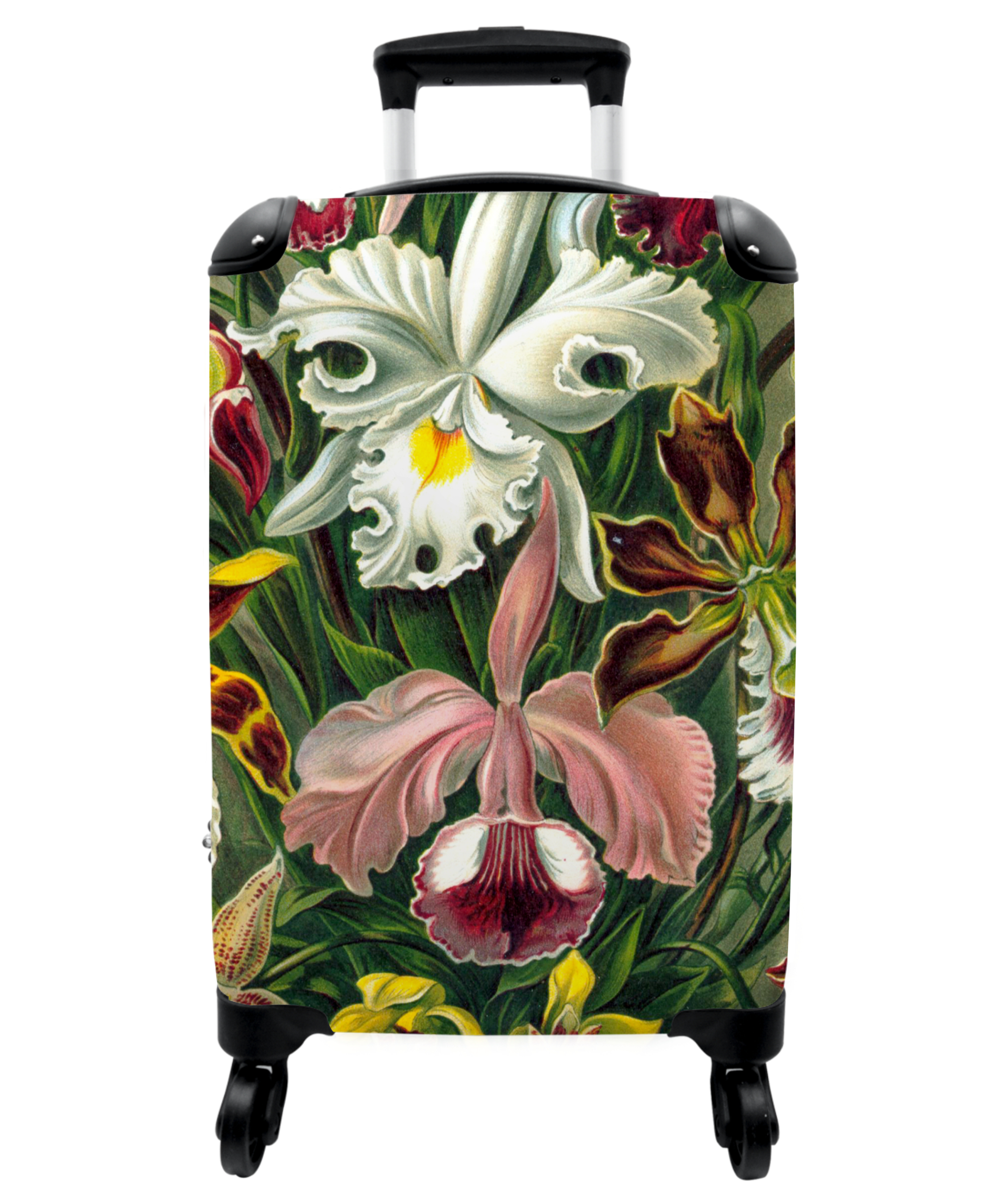 Koffer - Bloemen - Kunst - Haeckel - Oude meesters - Botanisch