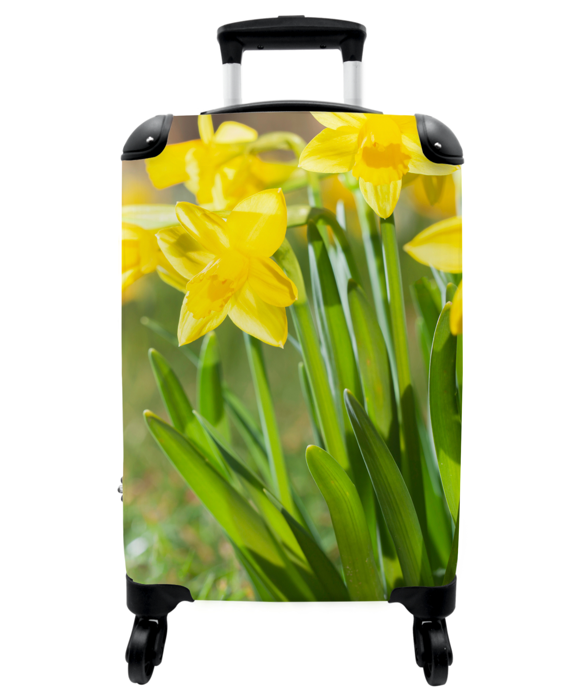 Koffer - Bloemen - Narcis - Geel - Lente - Natuur-1