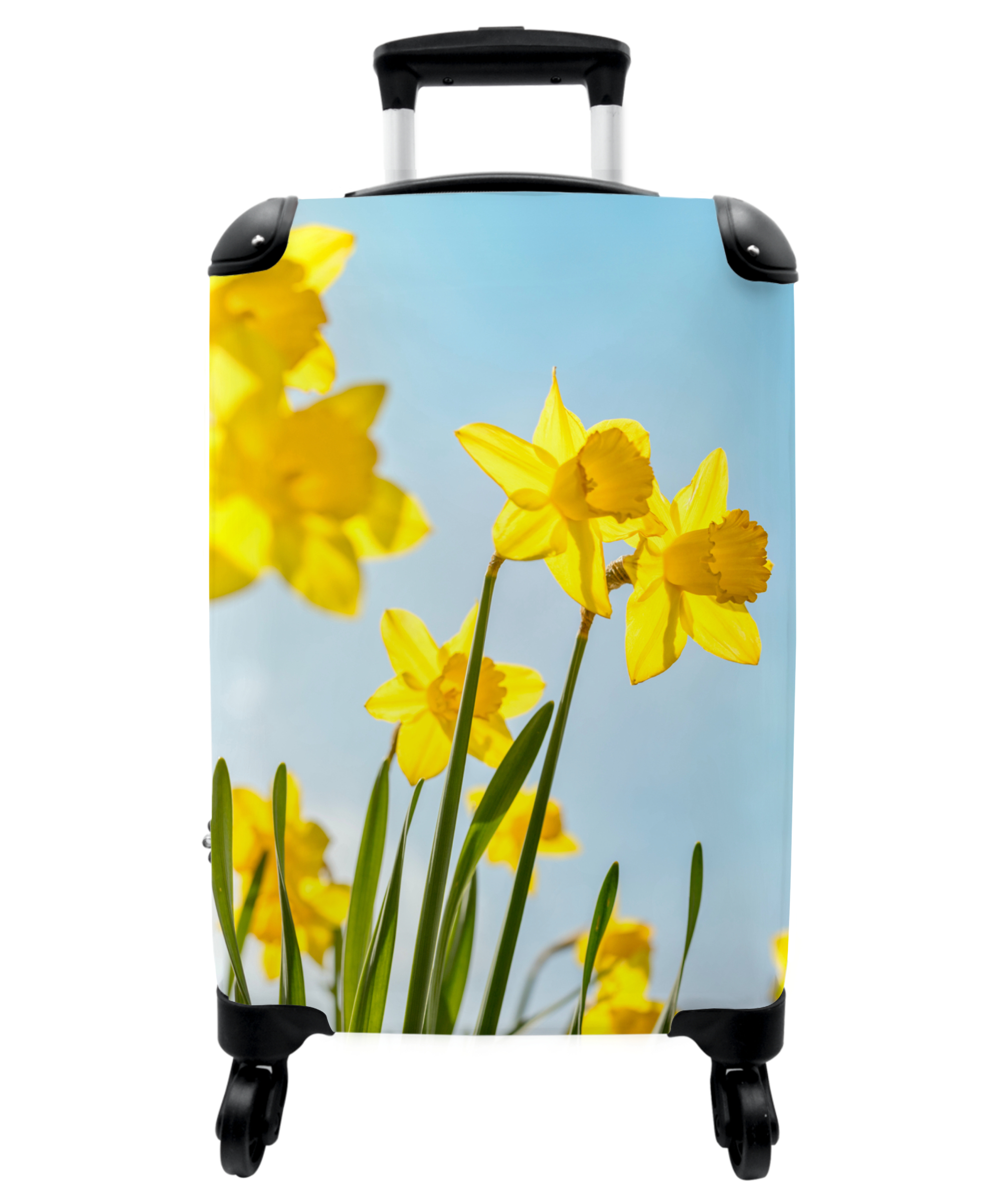 Koffer - Bloemen - Narcis - Geel - Lente - Botanisch