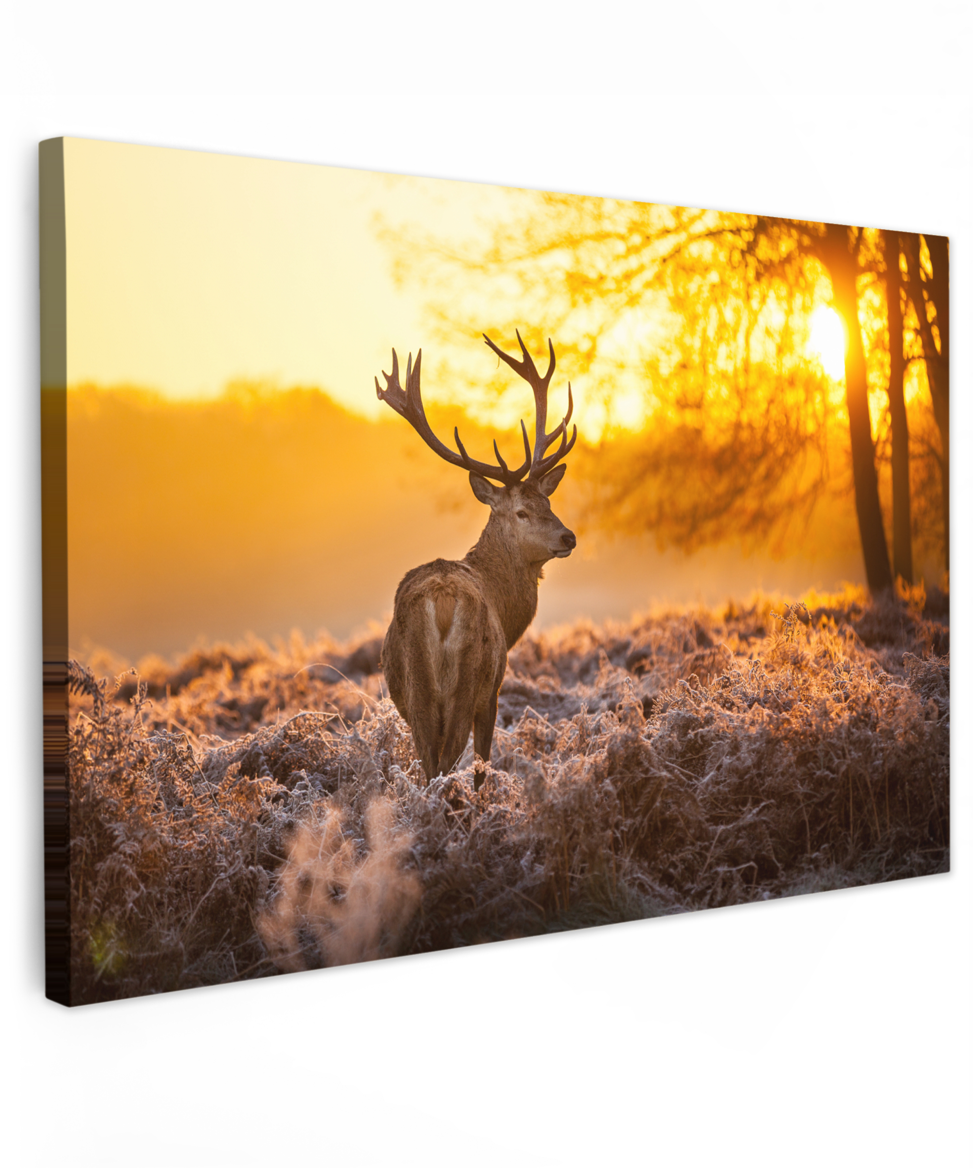 Canvas schilderij Hert Dieren Zonsondergang Winter Heide Natuur